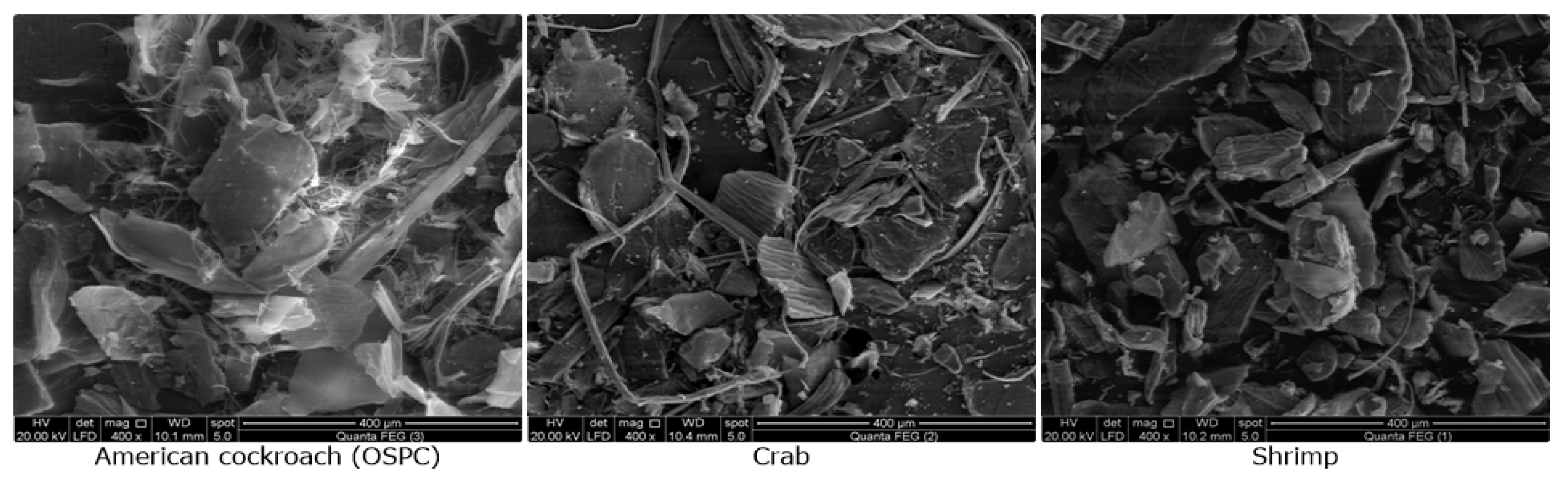 Insects 11 00788 g003