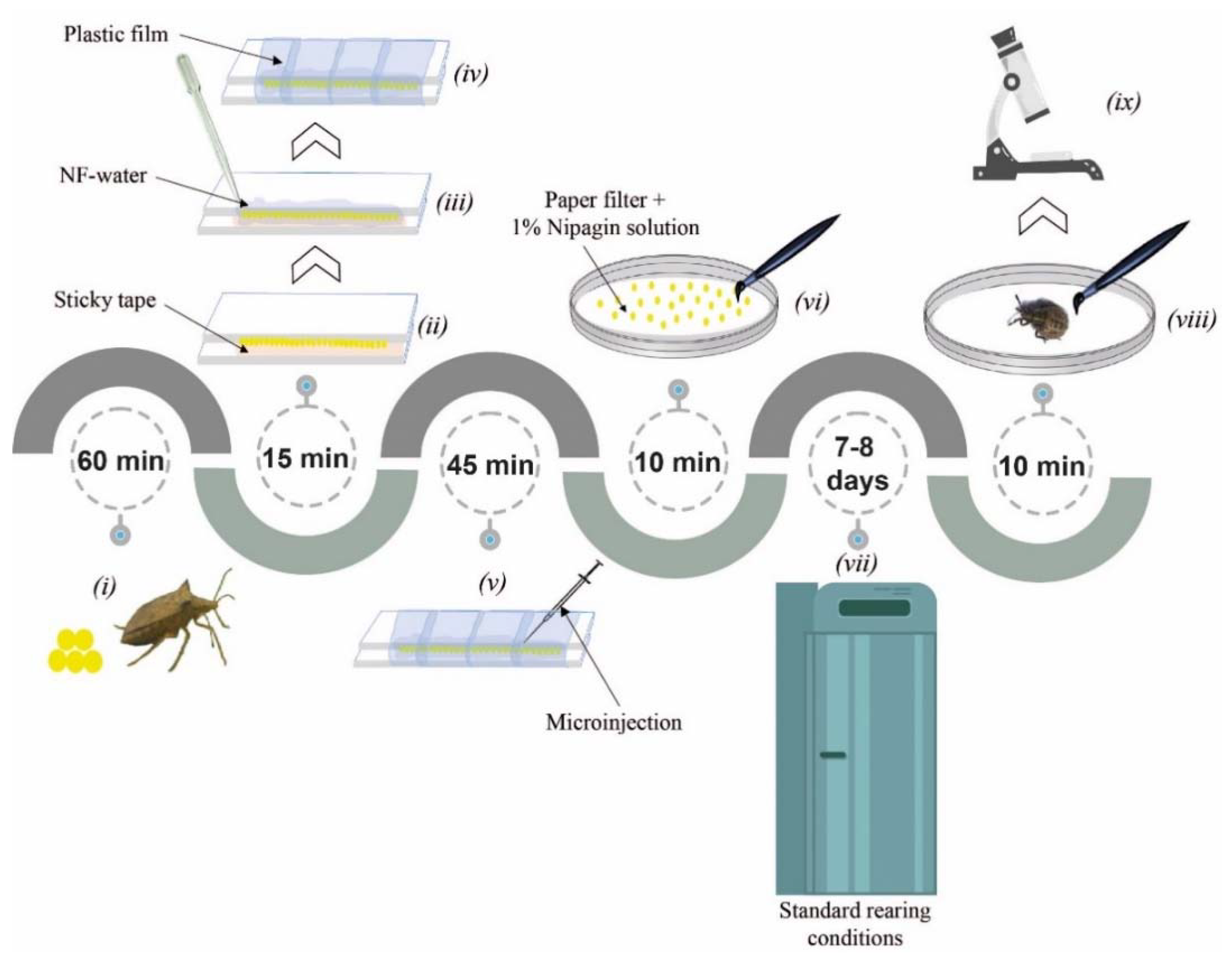Insects 11 00838 g003
