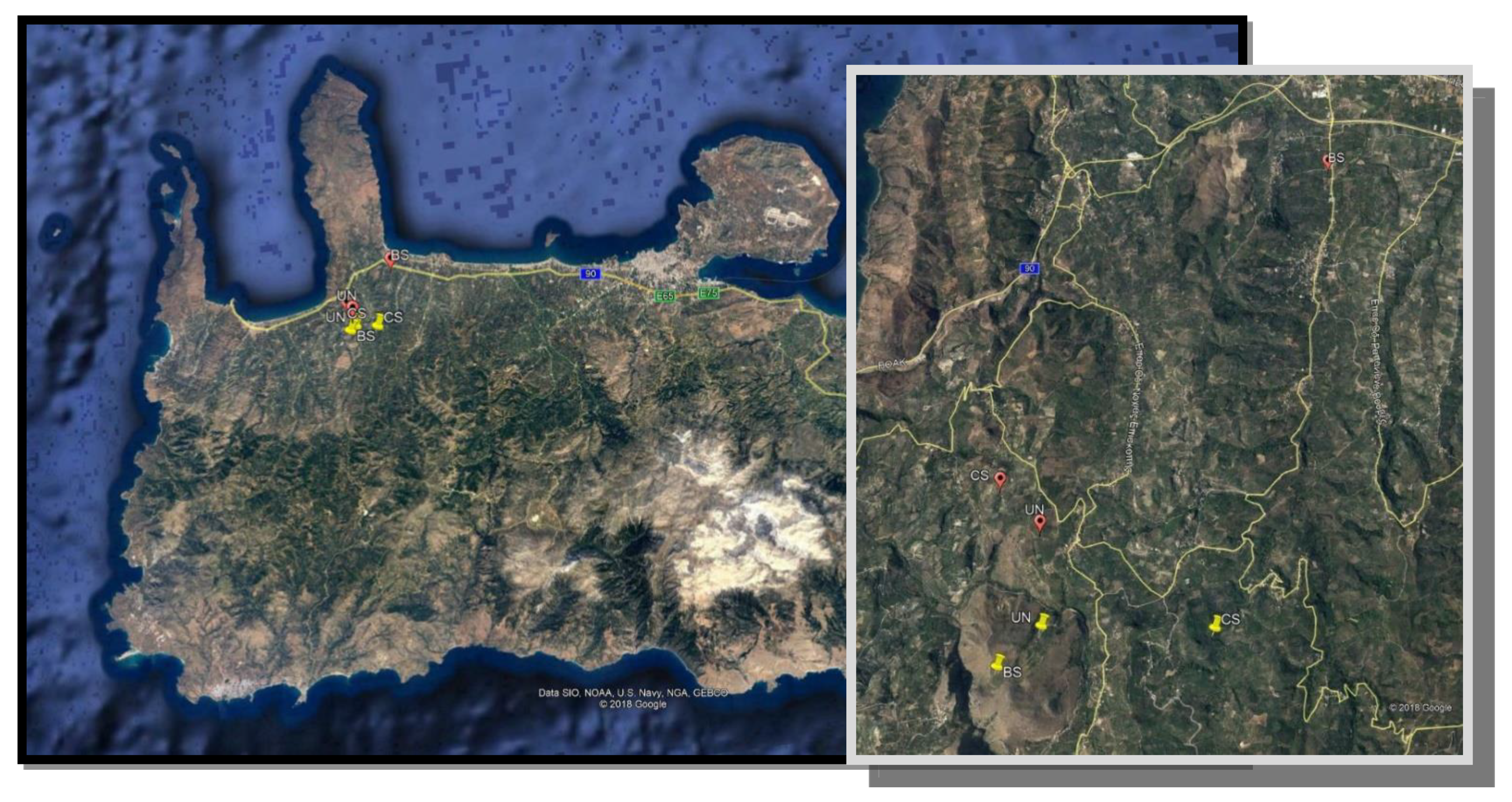 Insects 11 00855 g001