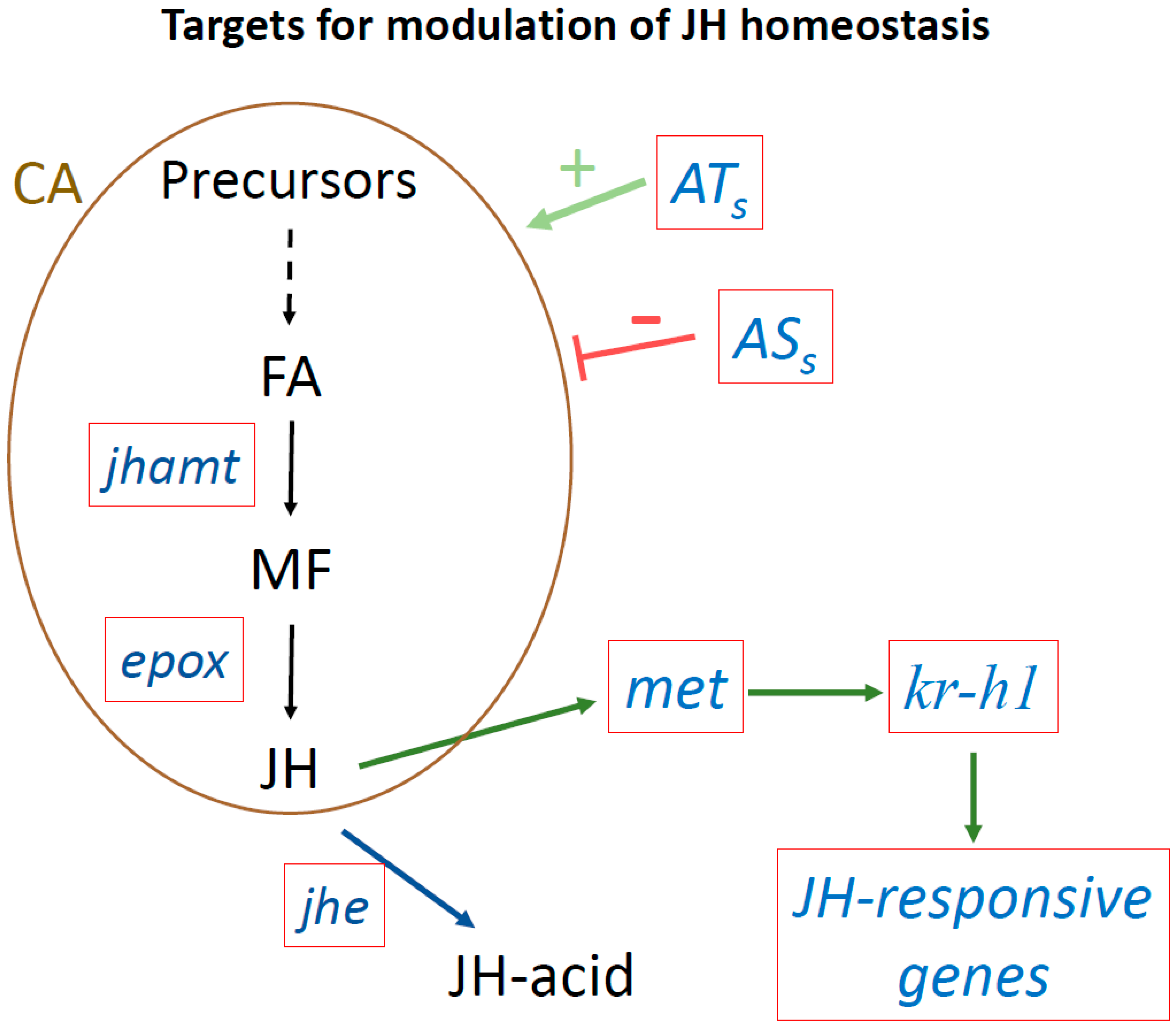 Insects 11 00858 g003
