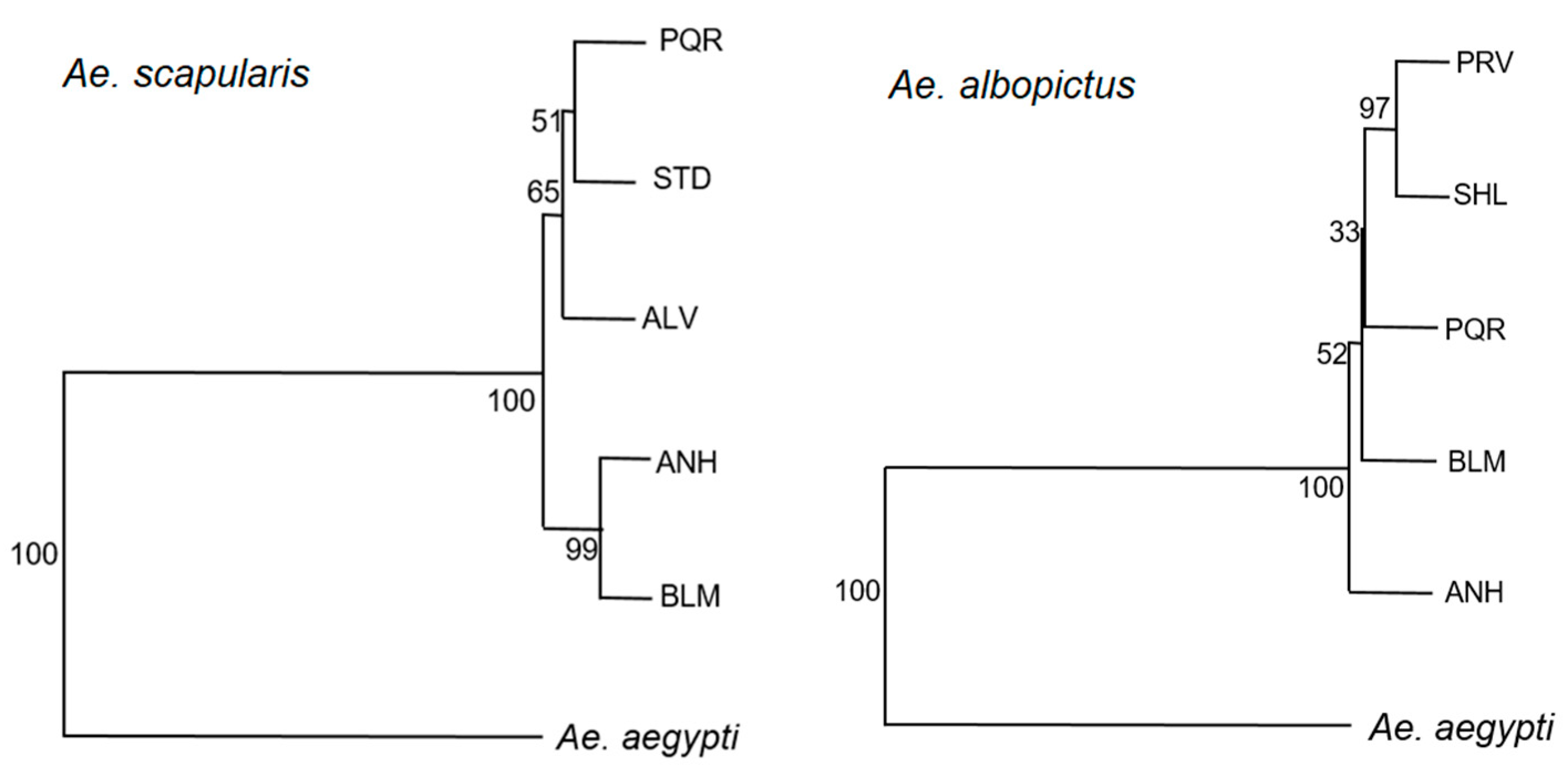Insects 11 00862 g004