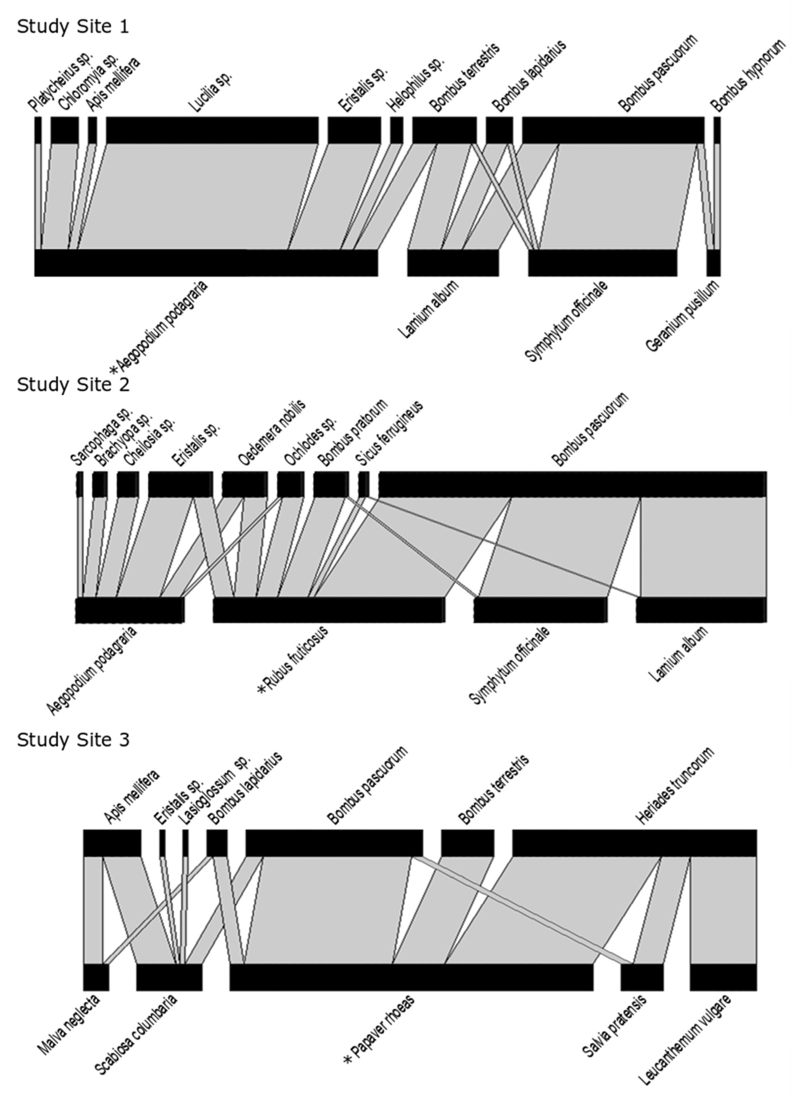 Insects 11 00872 g002