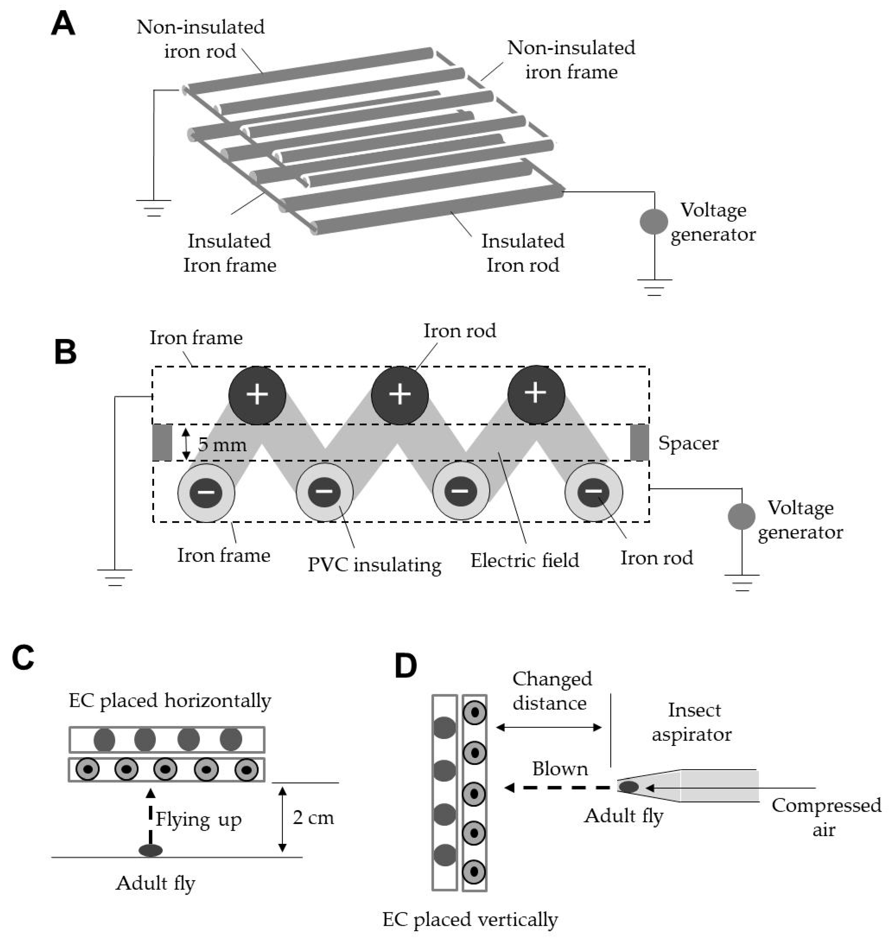 Insects 11 00878 g001