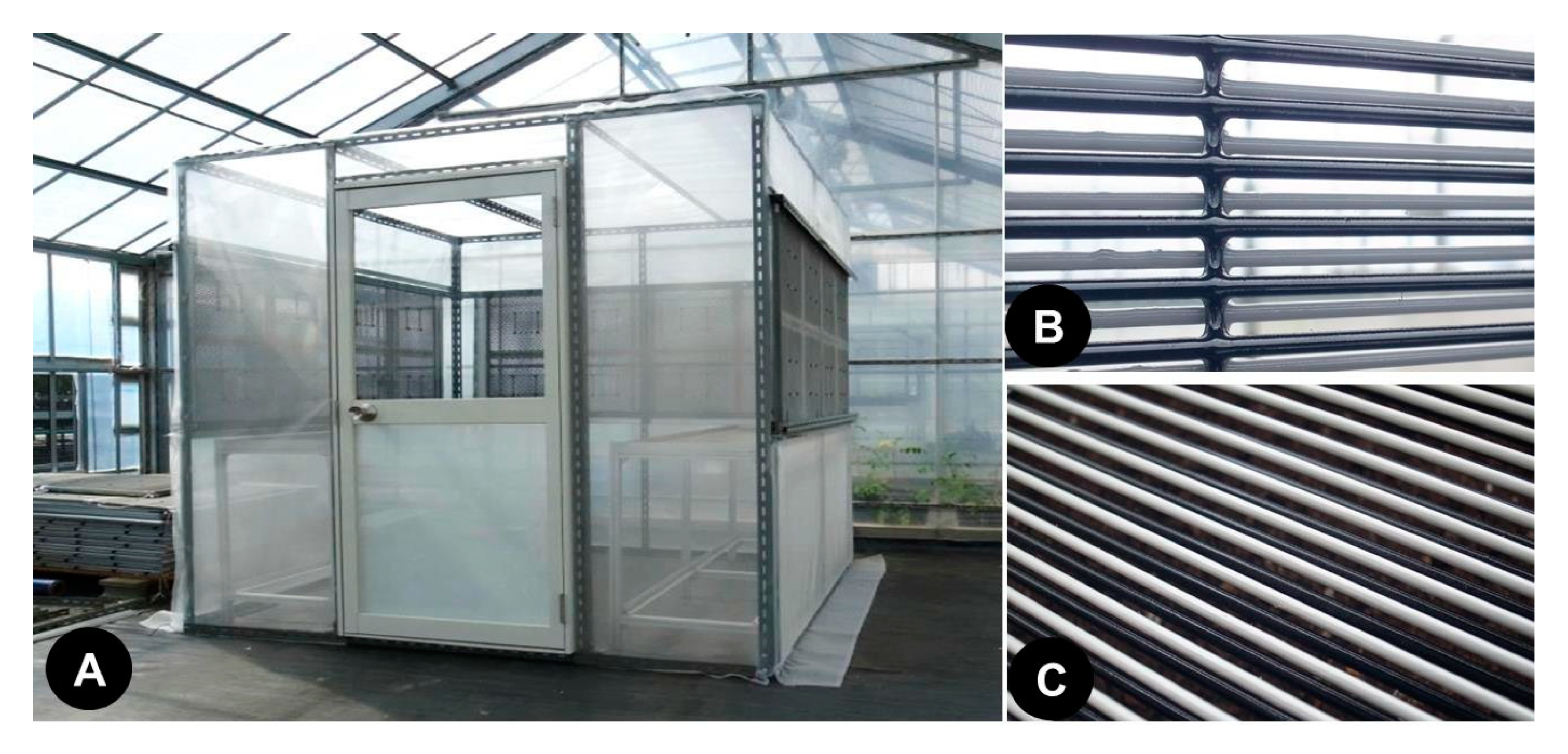 Insects 11 00878 g002