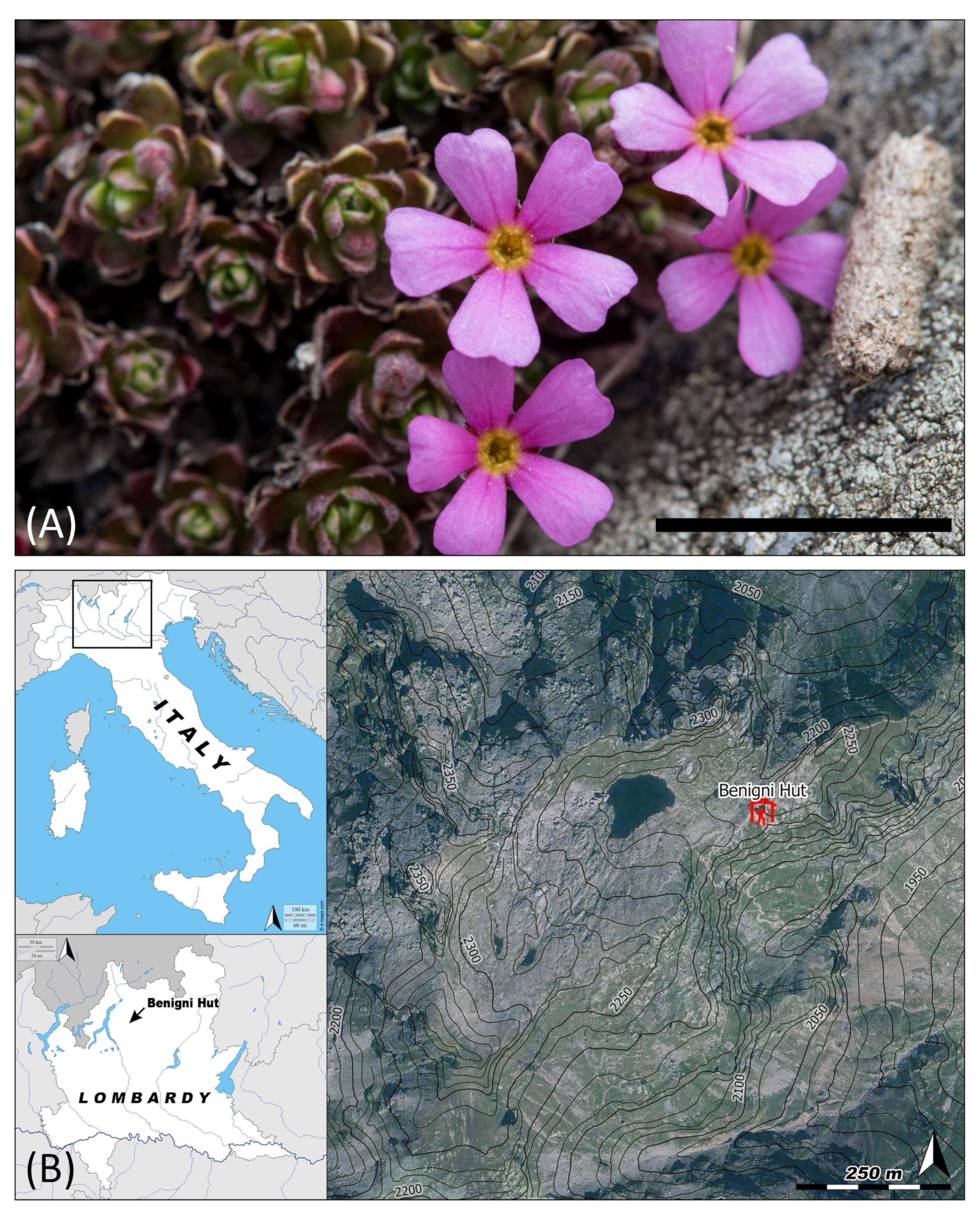 Insects 11 00881 g001