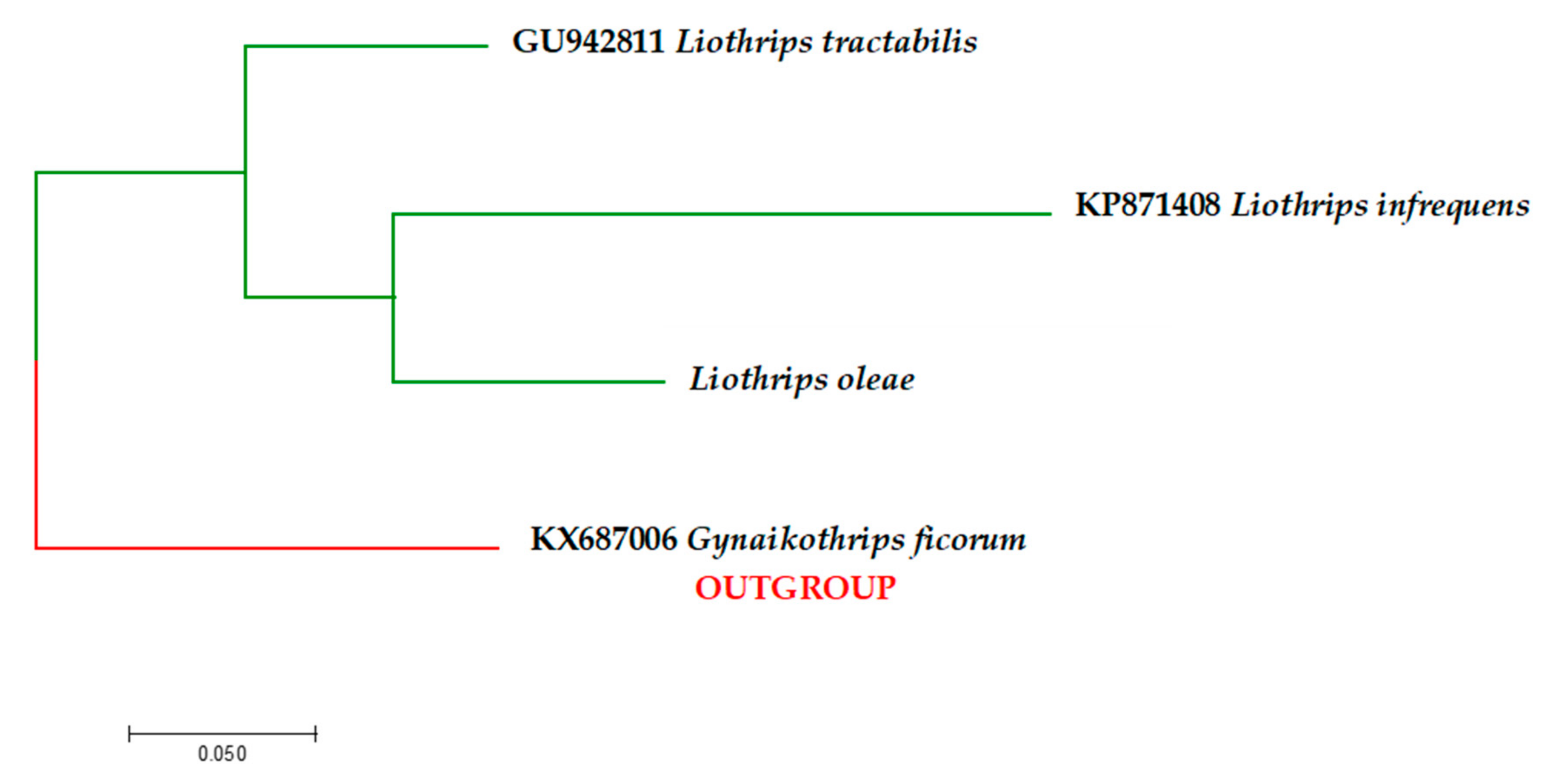 Insects 11 00887 g003 Insects 11 00887 g003