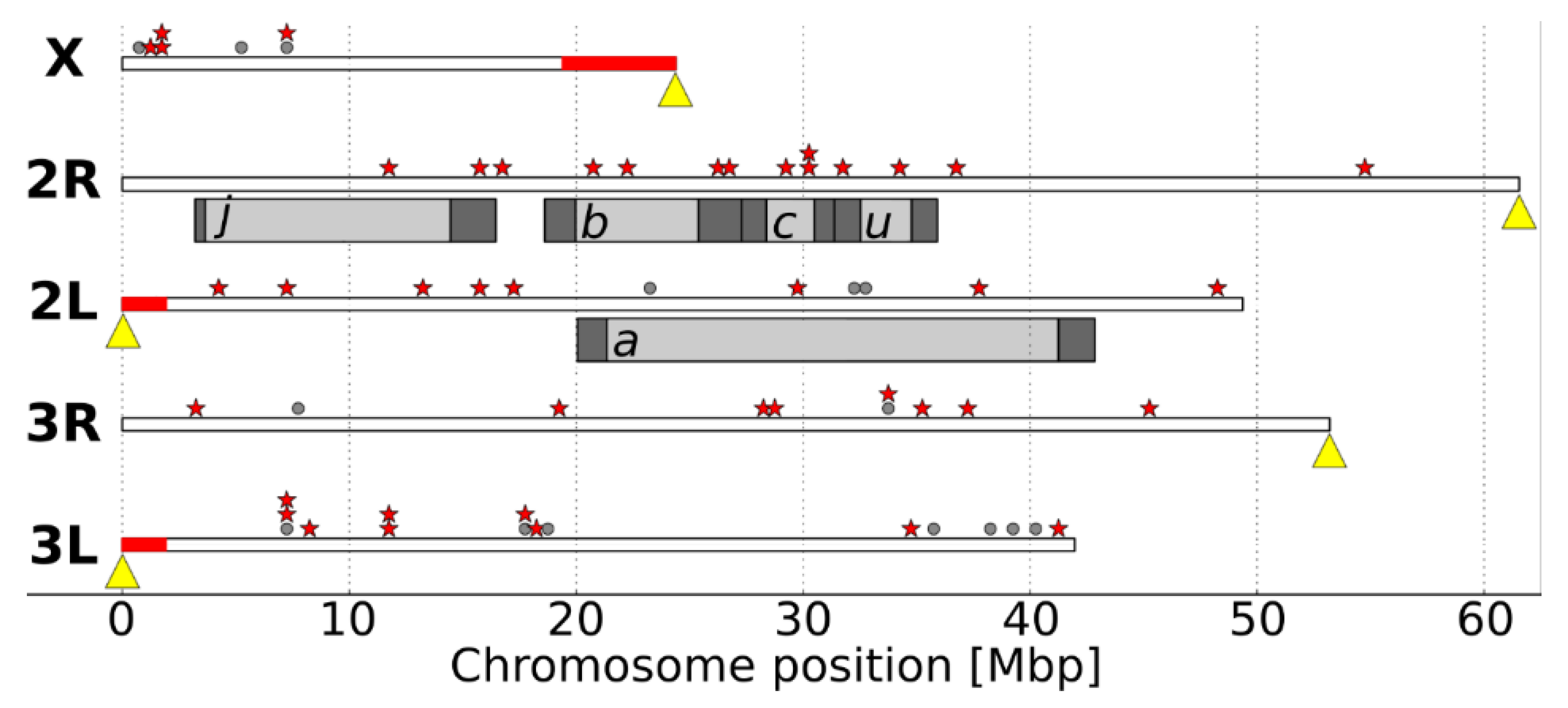 Insects 11 00893 g001 Insects 11 00893 g001