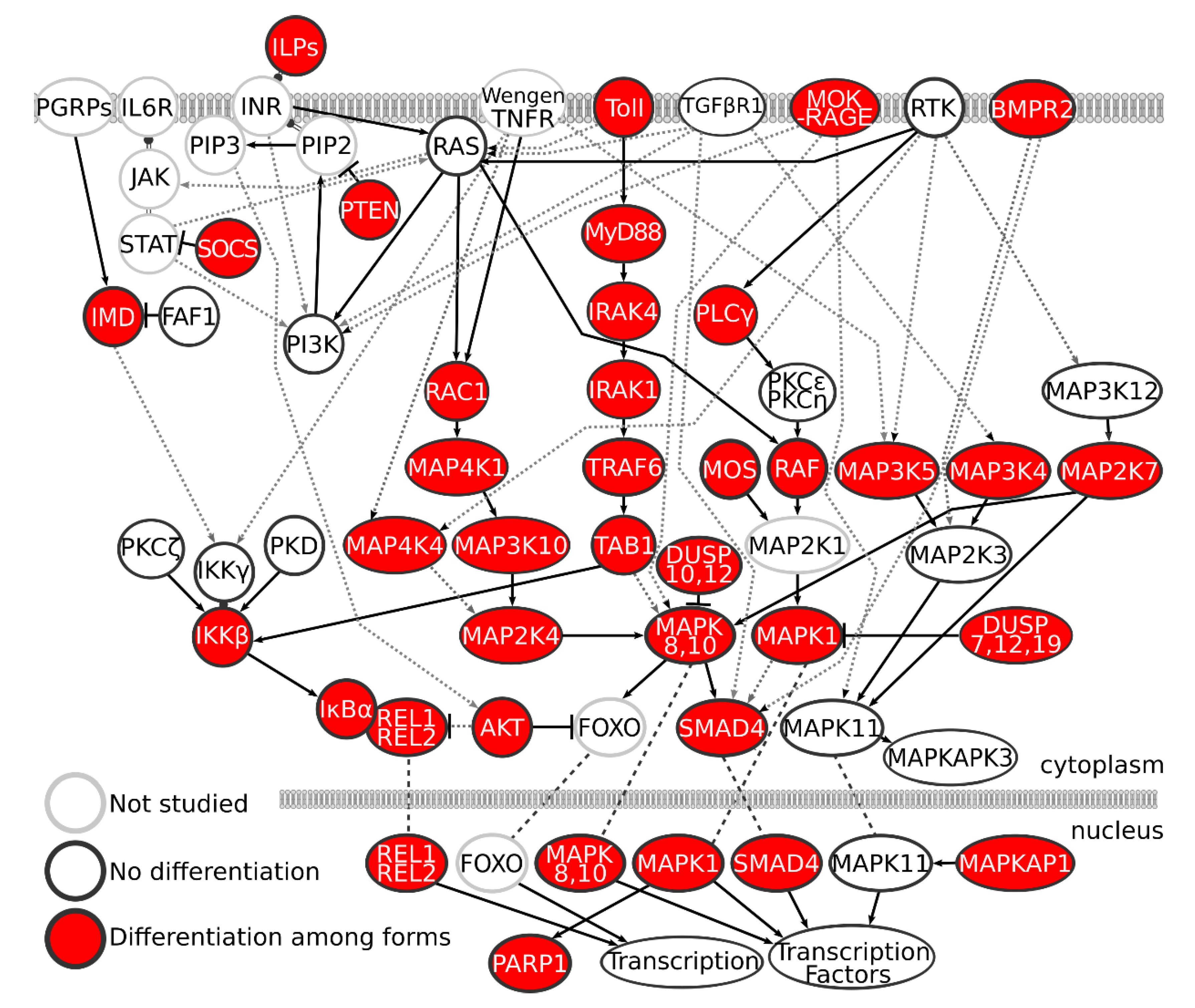Insects 11 00893 g002 Insects 11 00893 g002