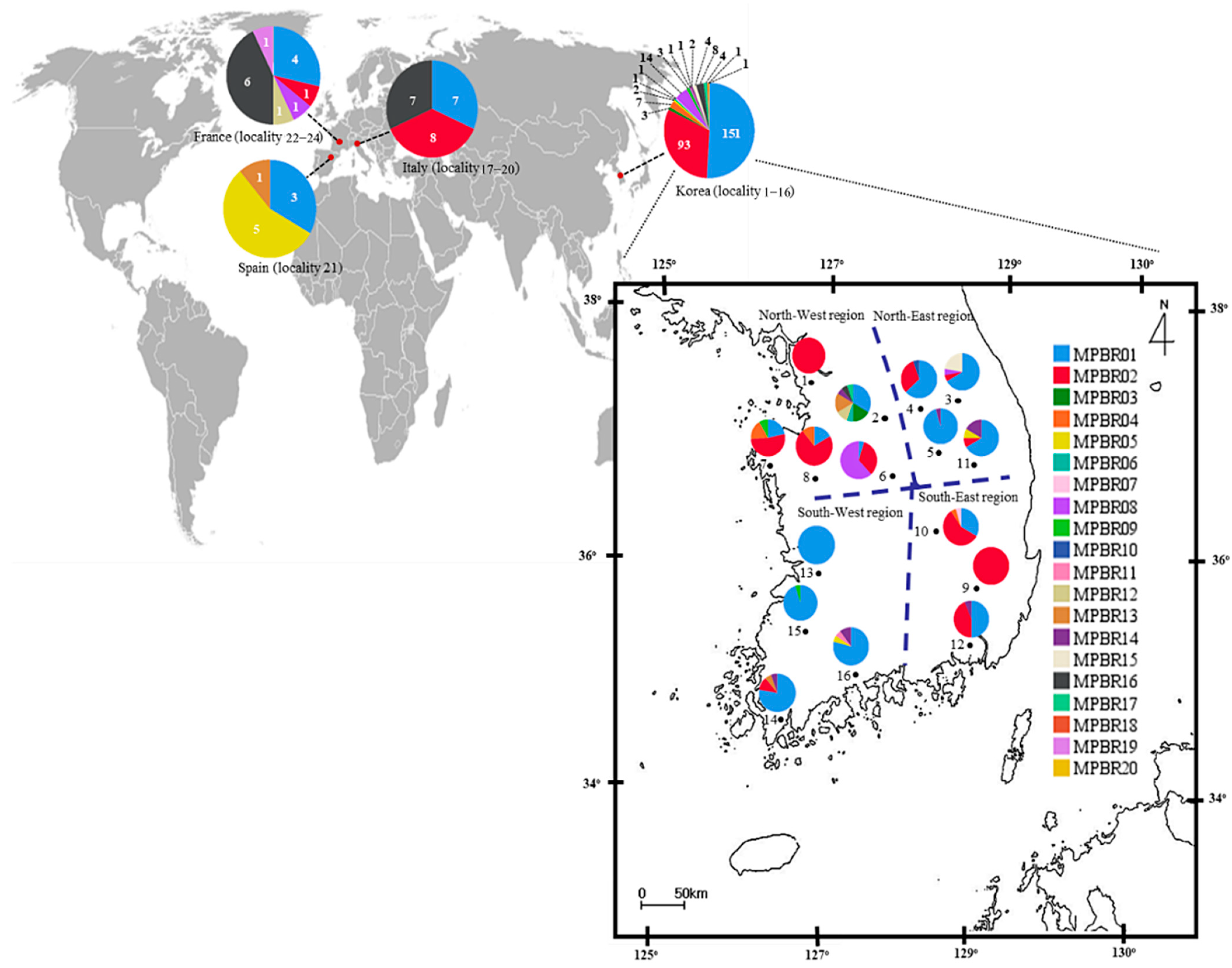 Insects 12 00004 g003