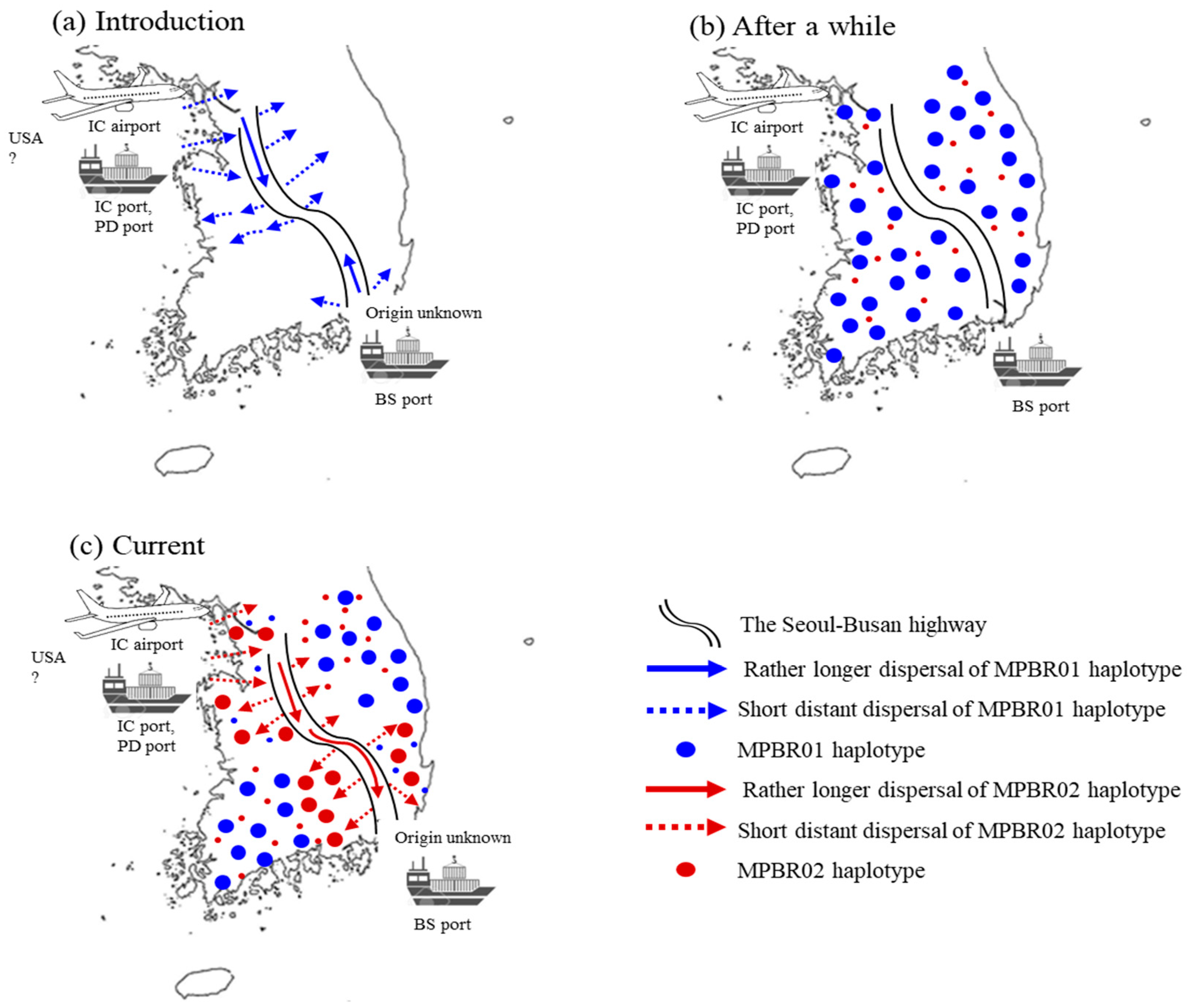 Insects 12 00004 g007