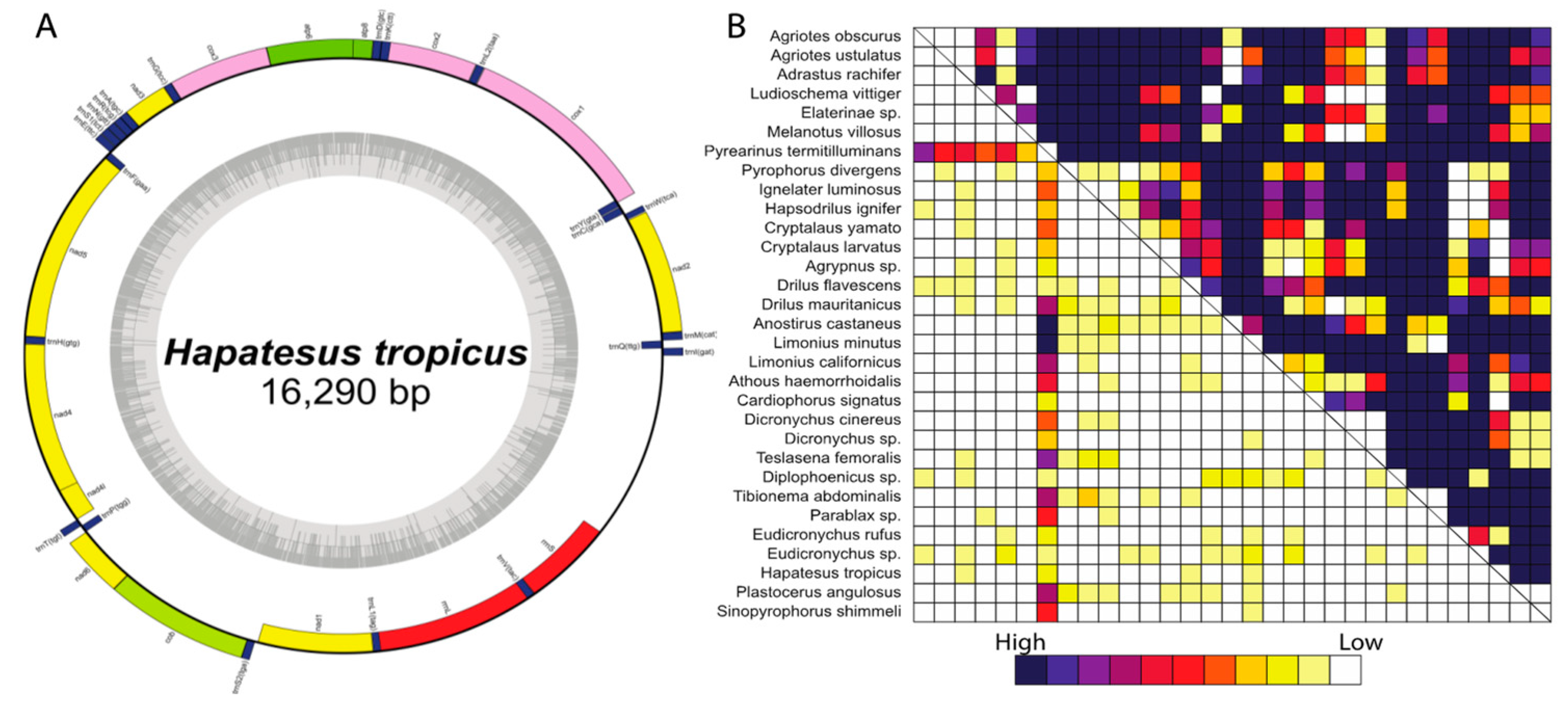 Insects 12 00017 g002