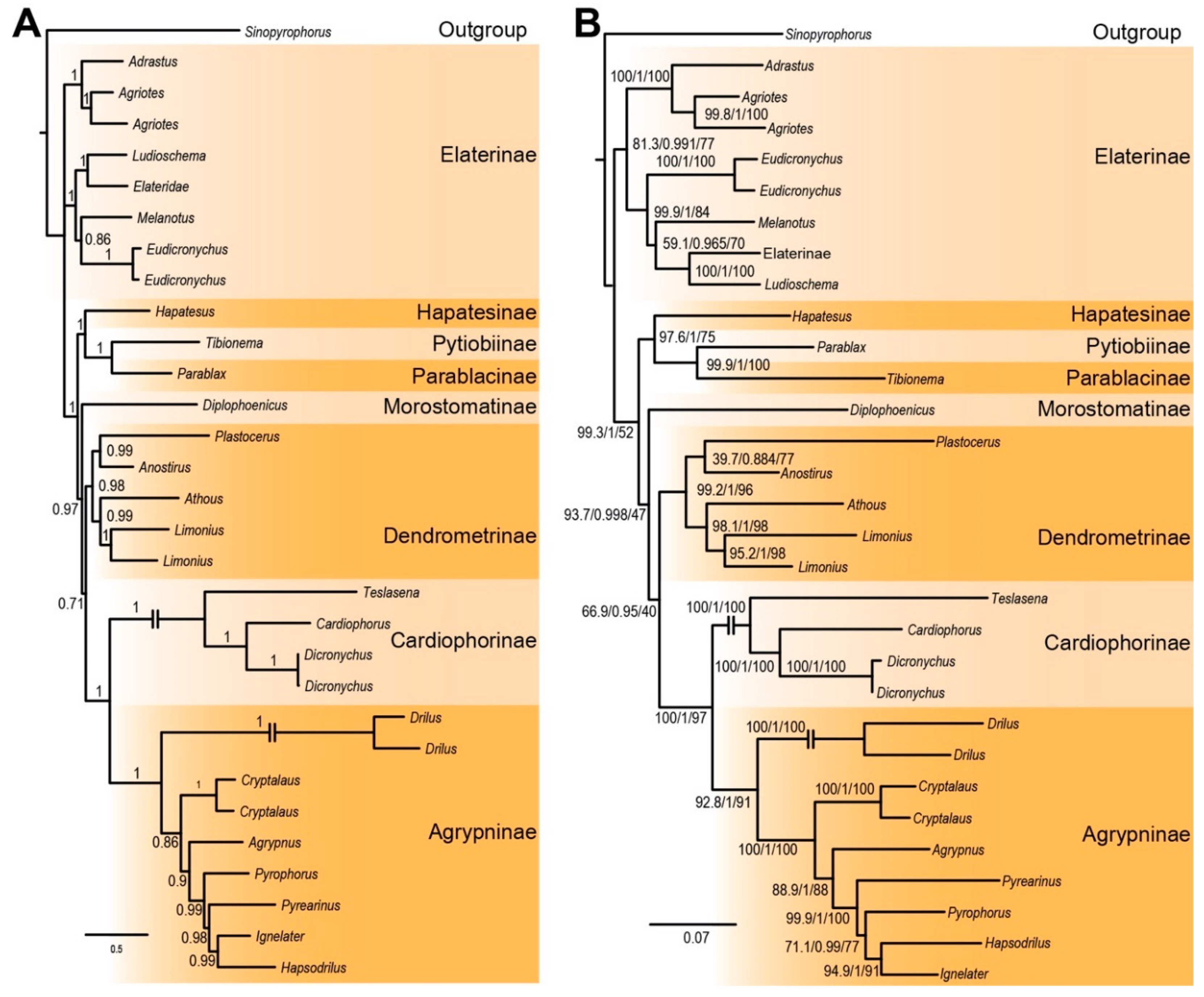 Insects 12 00017 g003