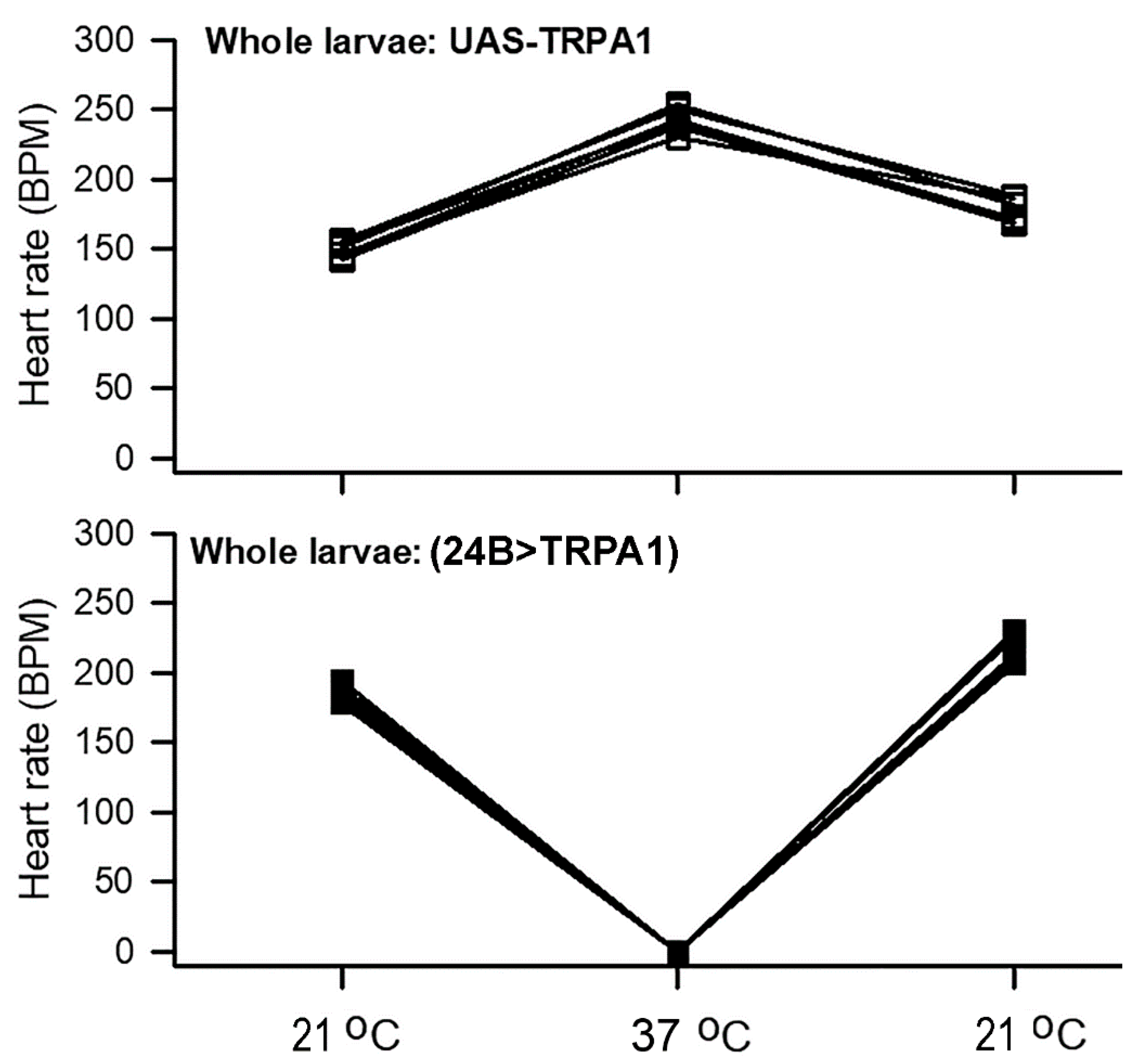 Insects 12 00038 g003