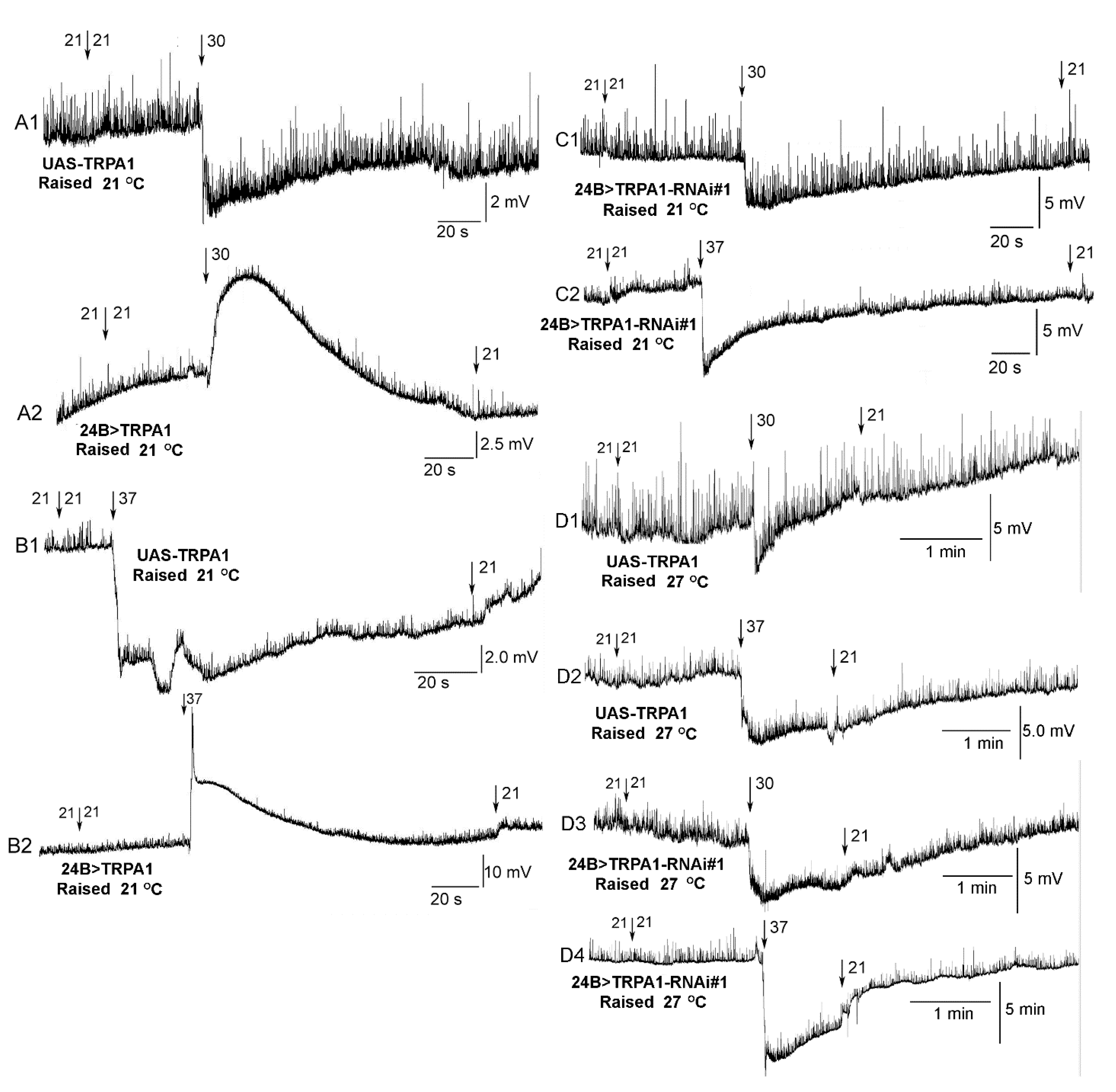 Insects 12 00038 g007