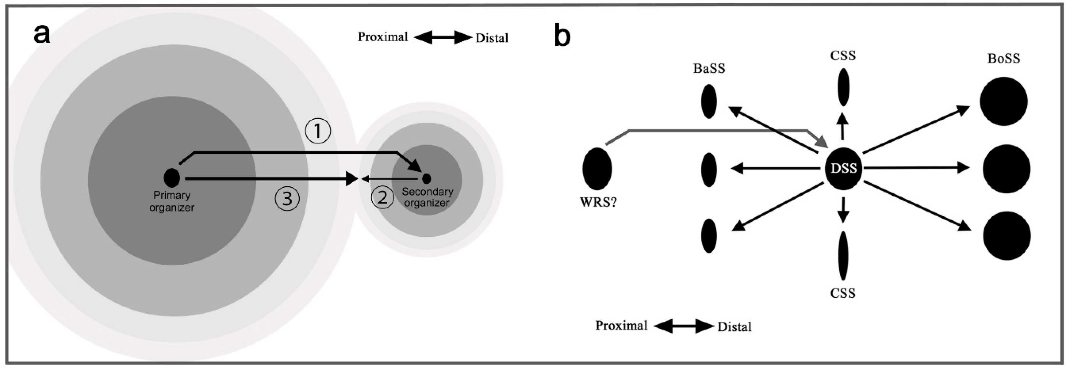 Insects 12 00039 g011