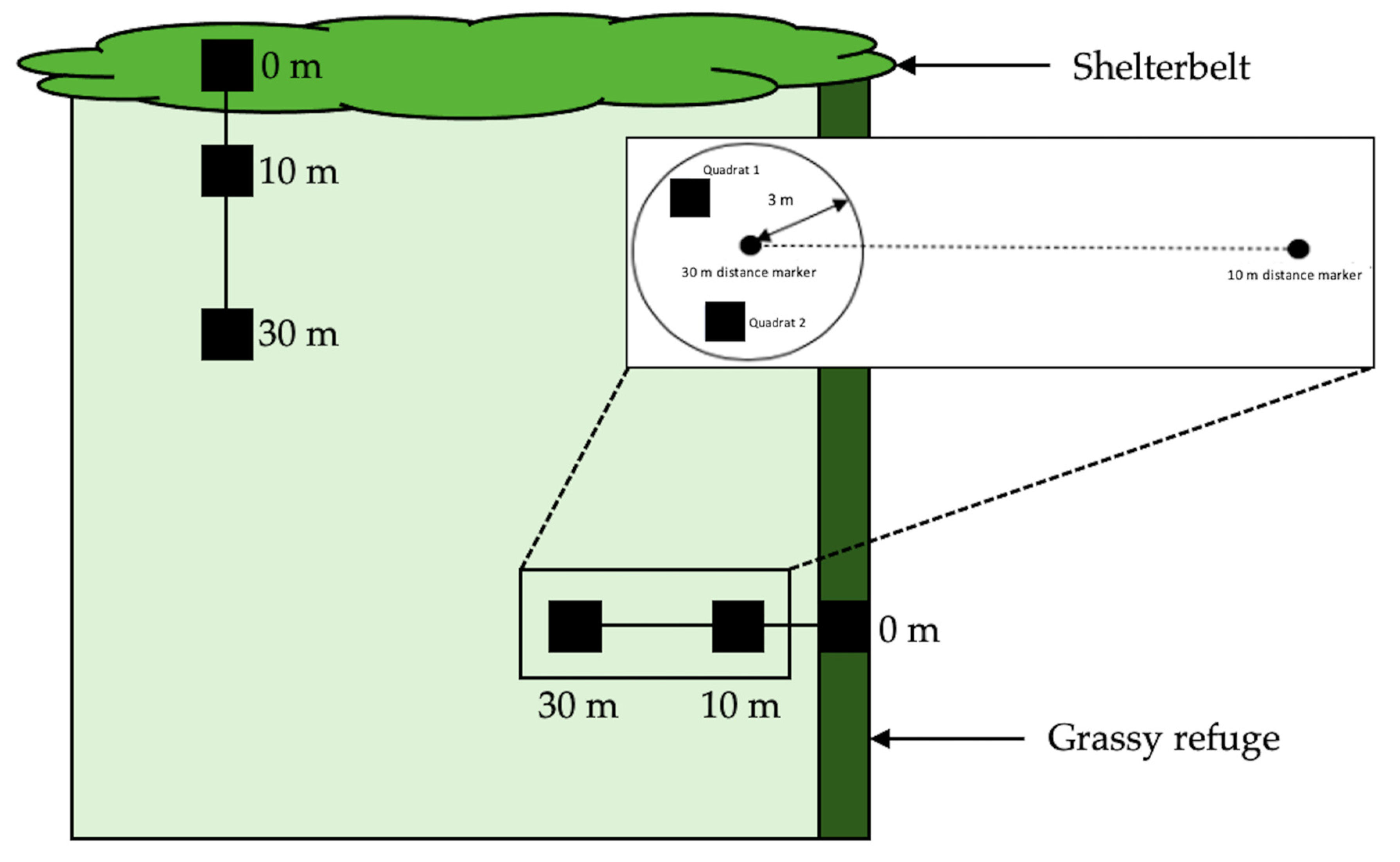 Insects 12 00044 g002