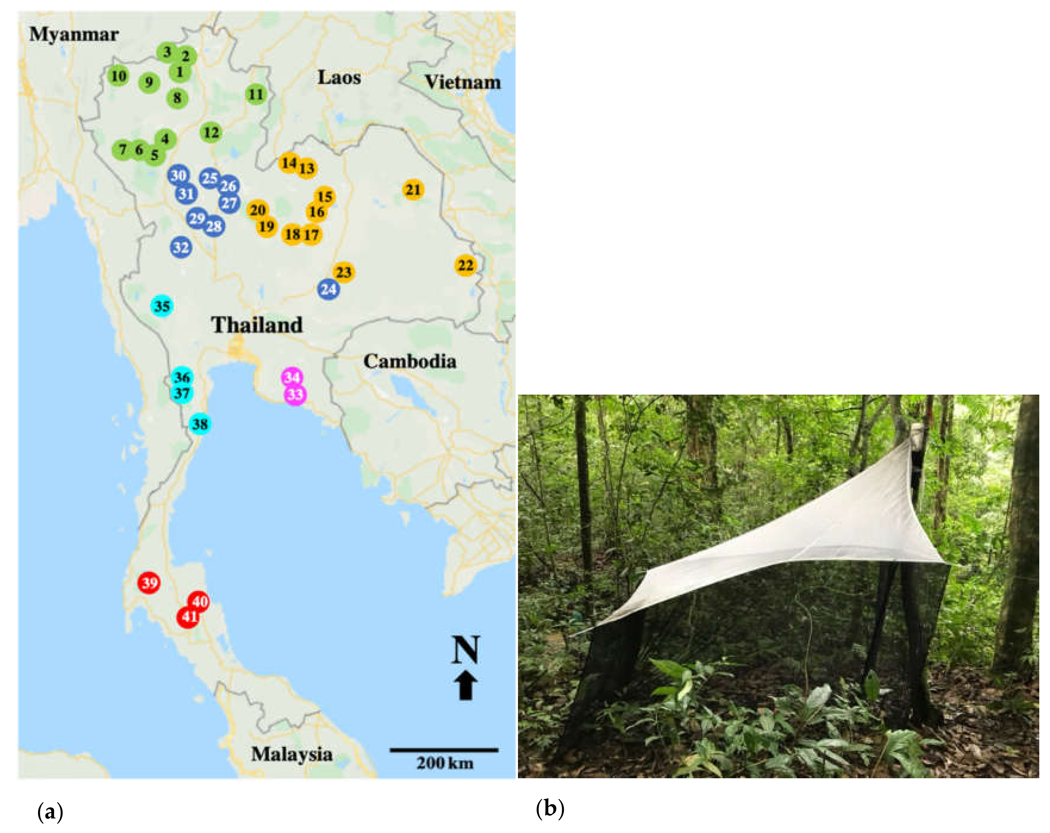 Insects 12 00045 g001