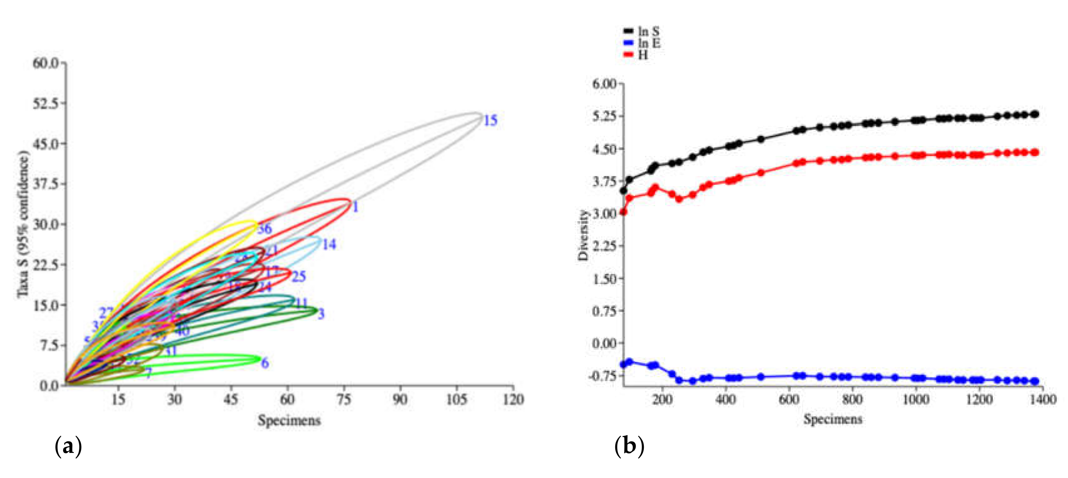 Insects 12 00045 g002