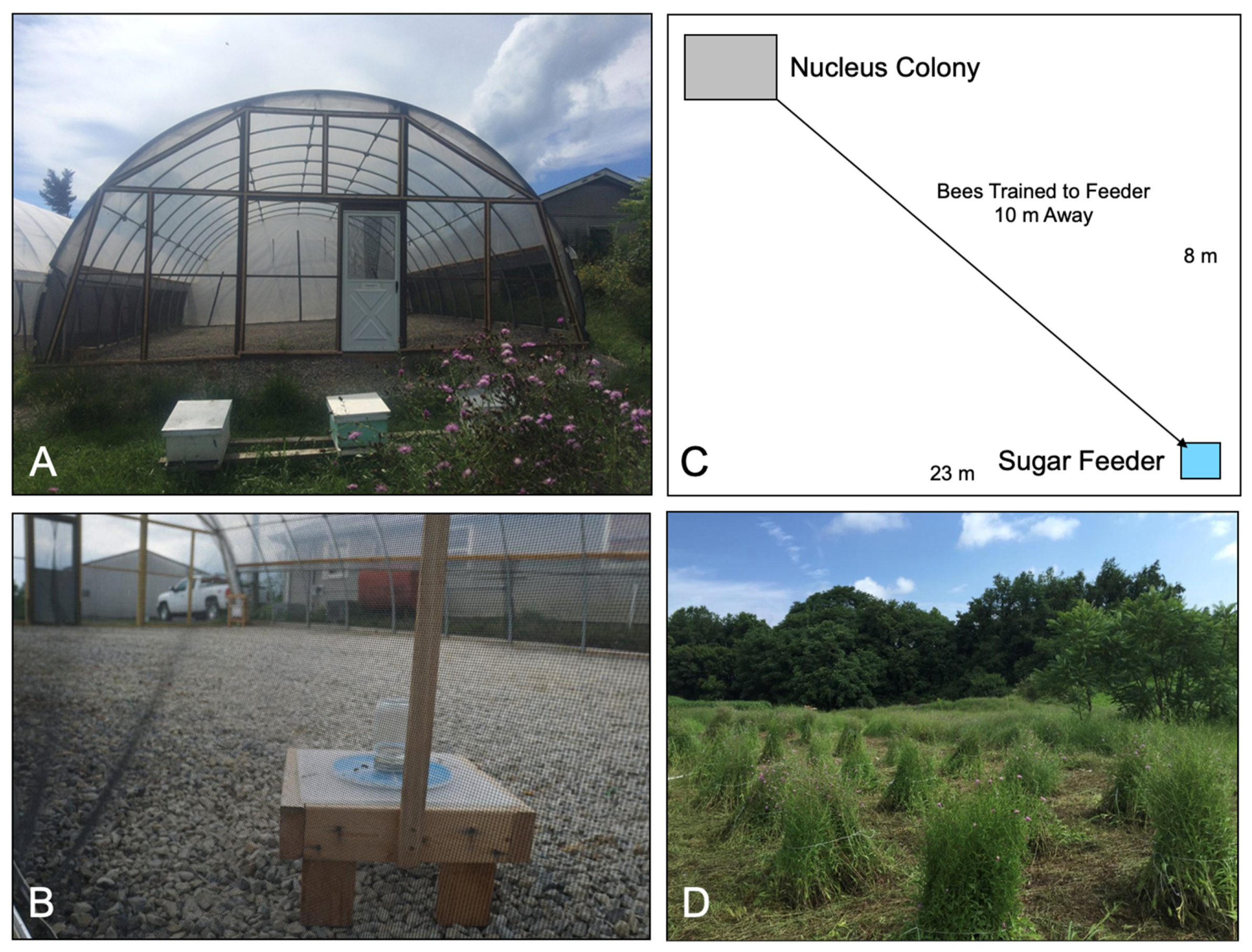 Insects 12 00069 g003