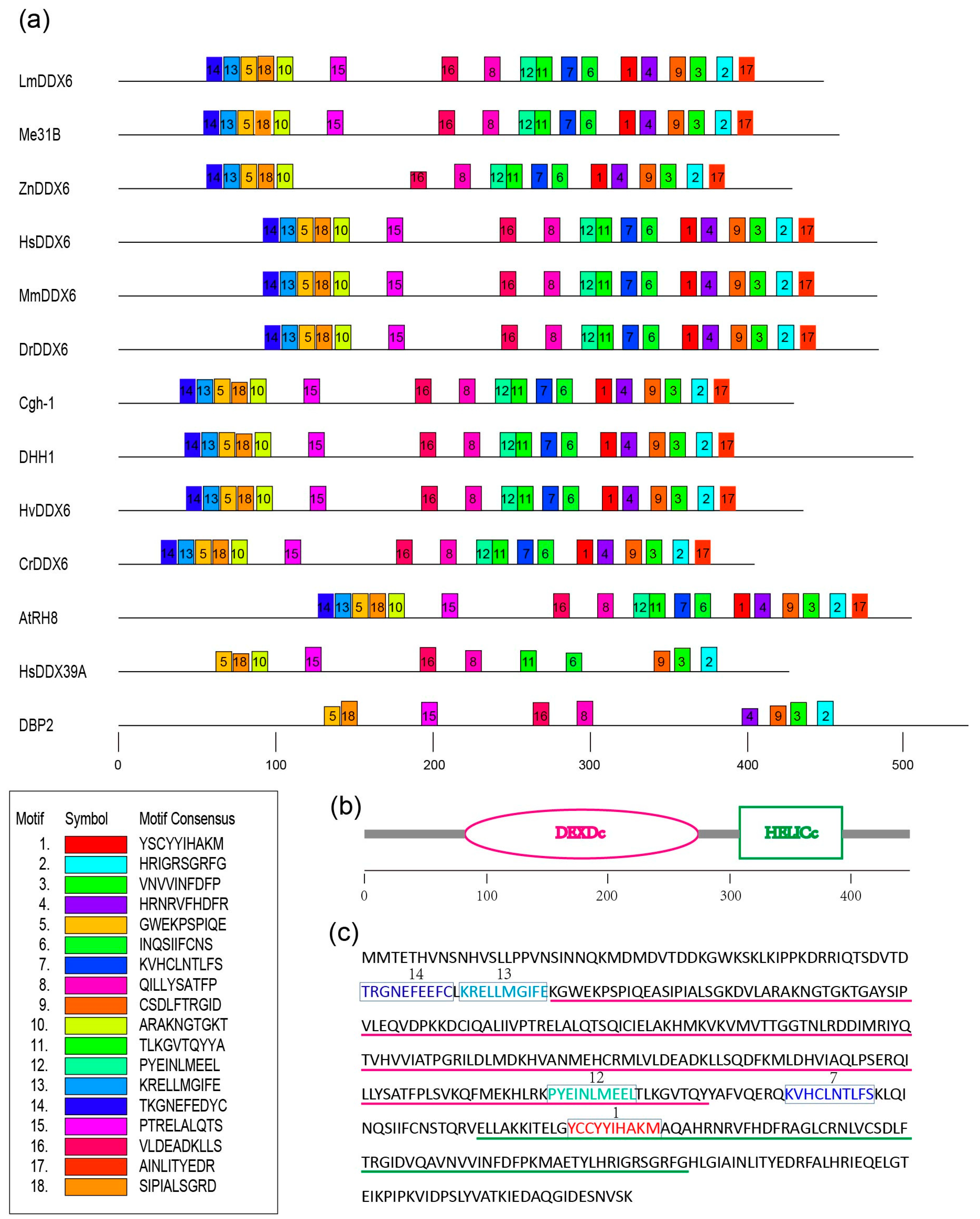 Insects 12 00070 g001