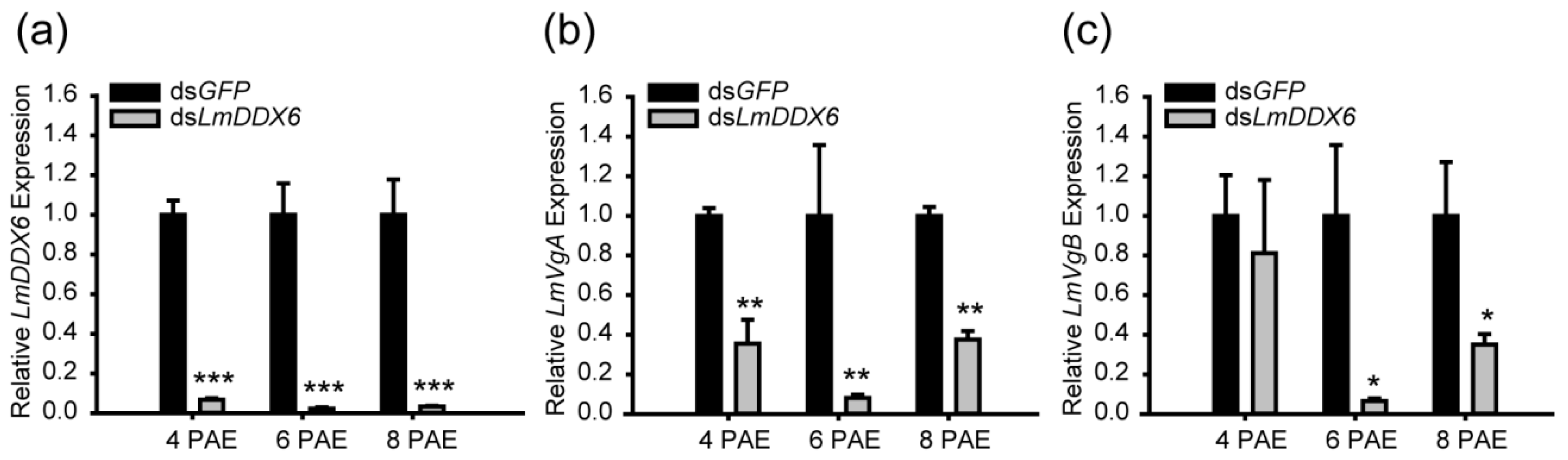 Insects 12 00070 g005