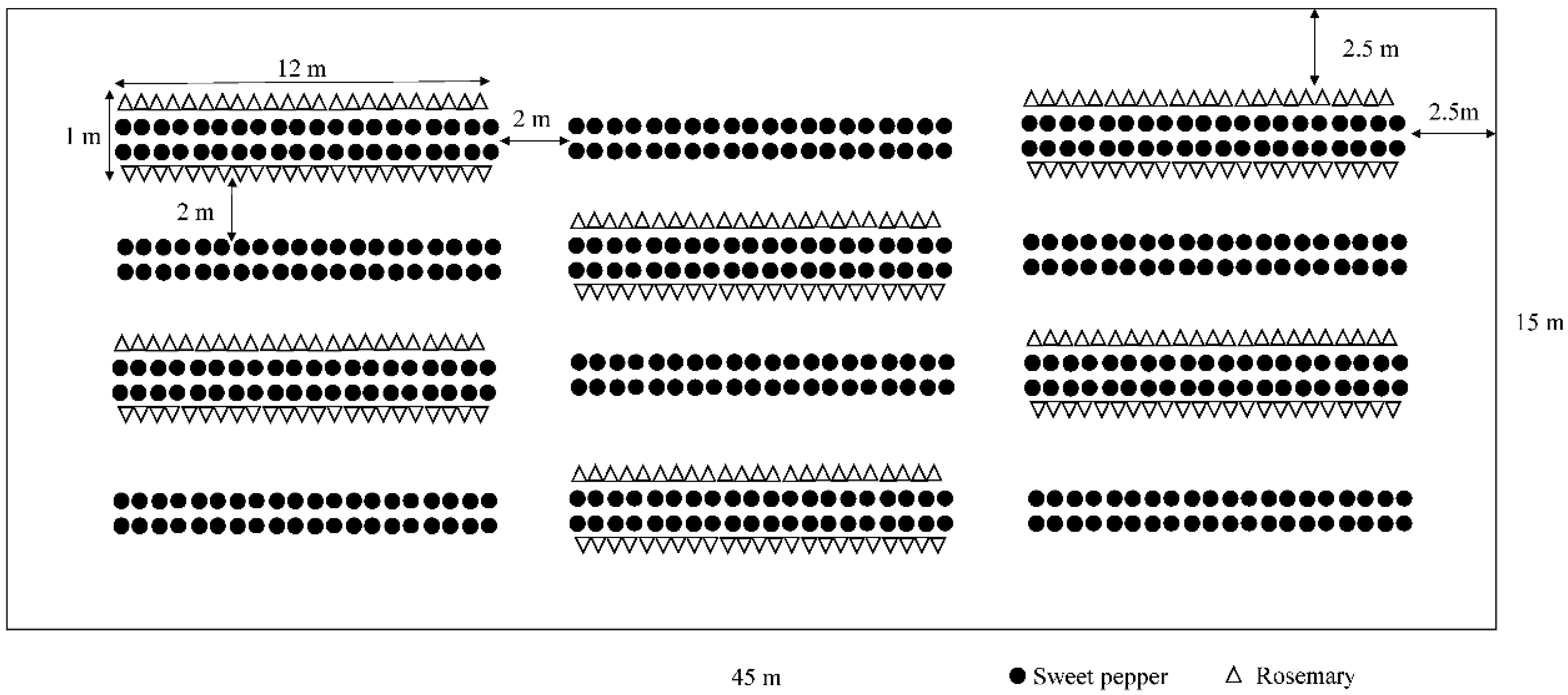 Insects 12 00074 g001