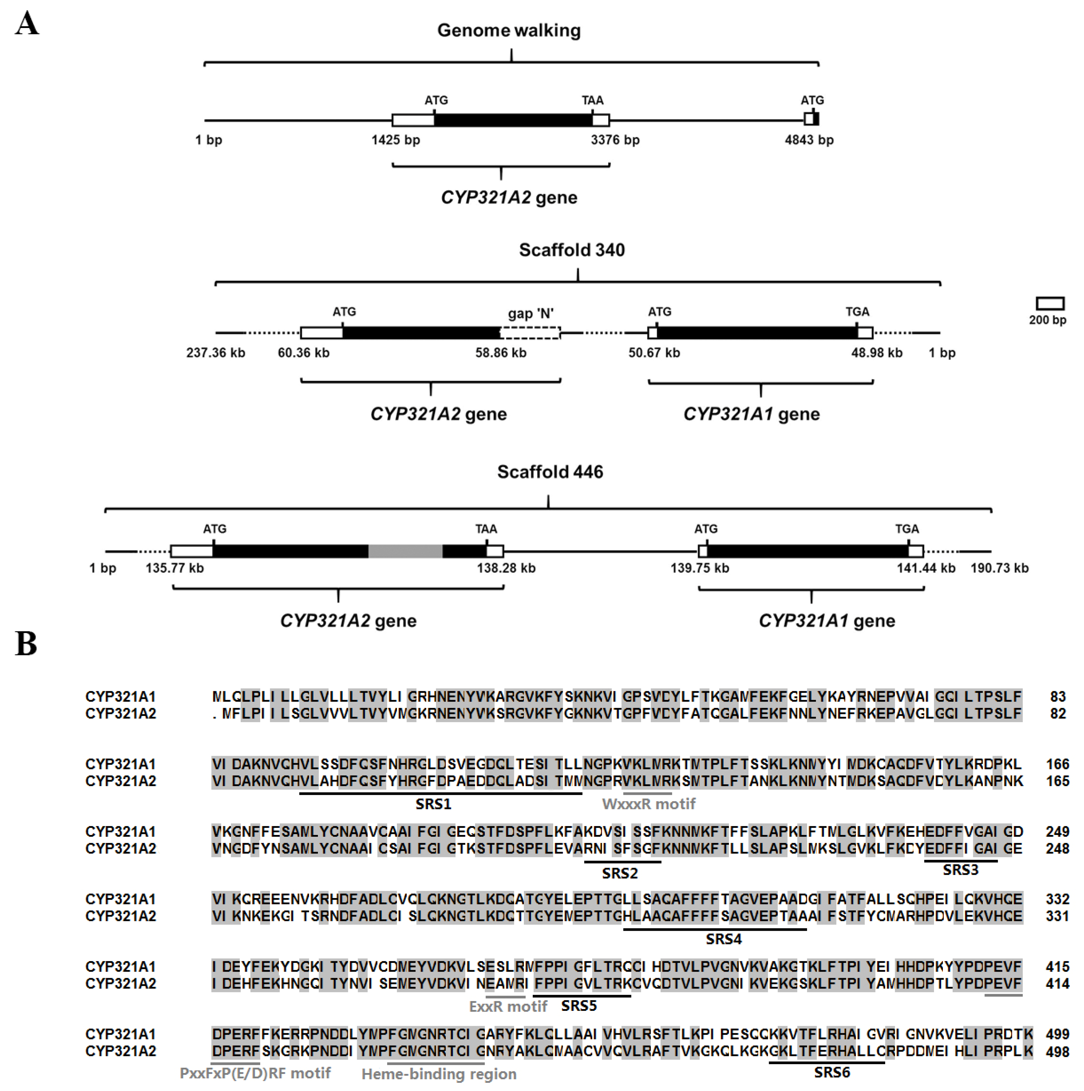 Insects 12 00075 g002