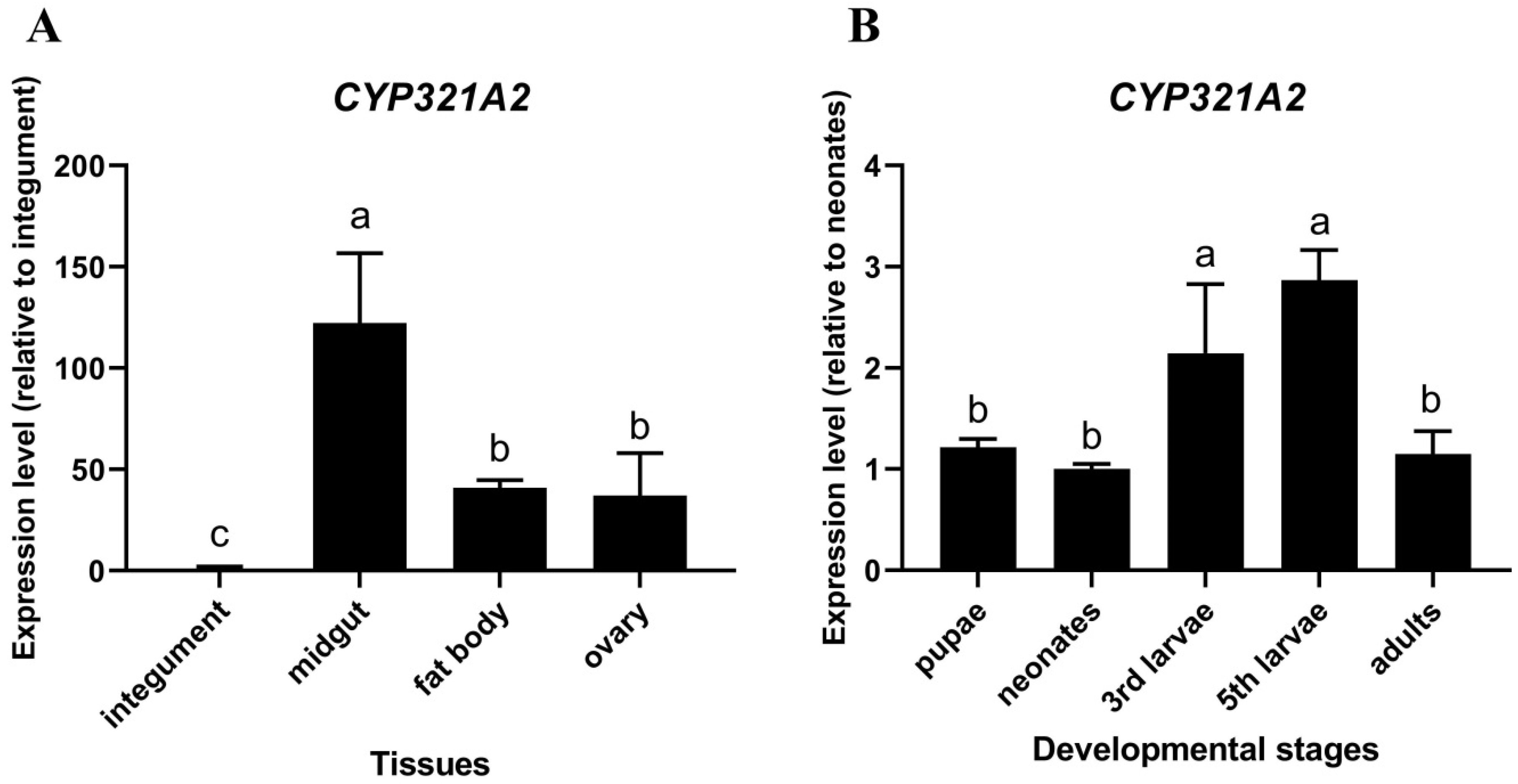 Insects 12 00075 g004