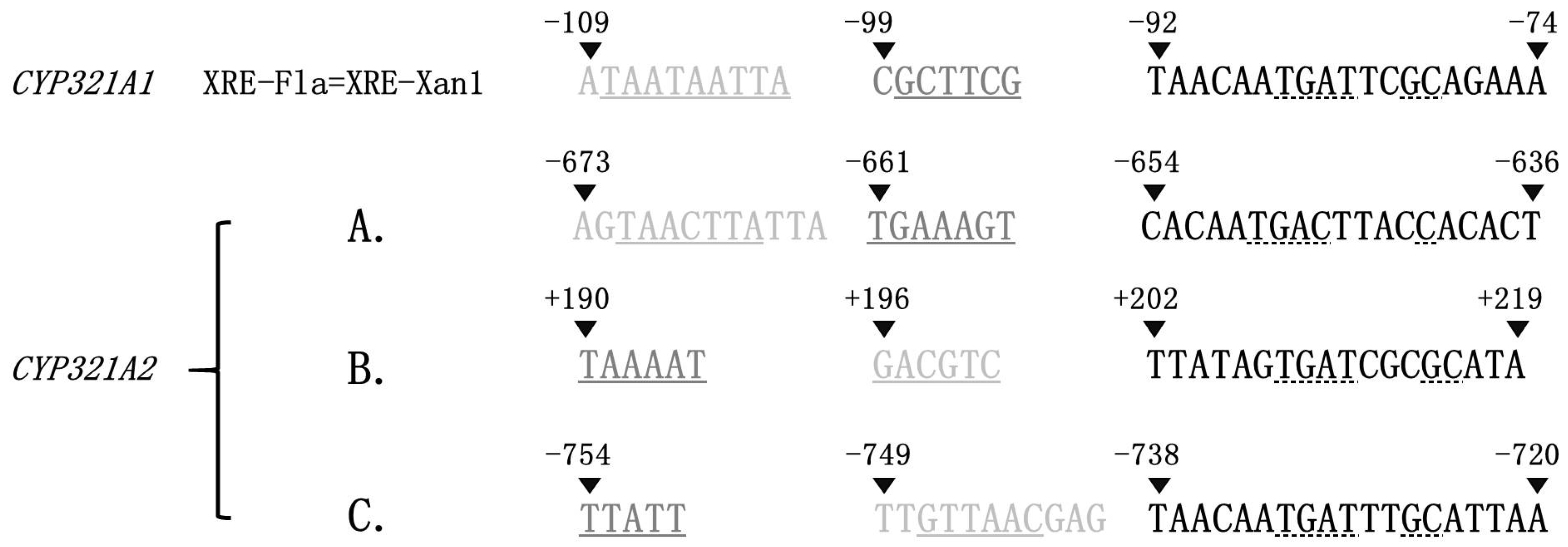 Insects 12 00075 g005