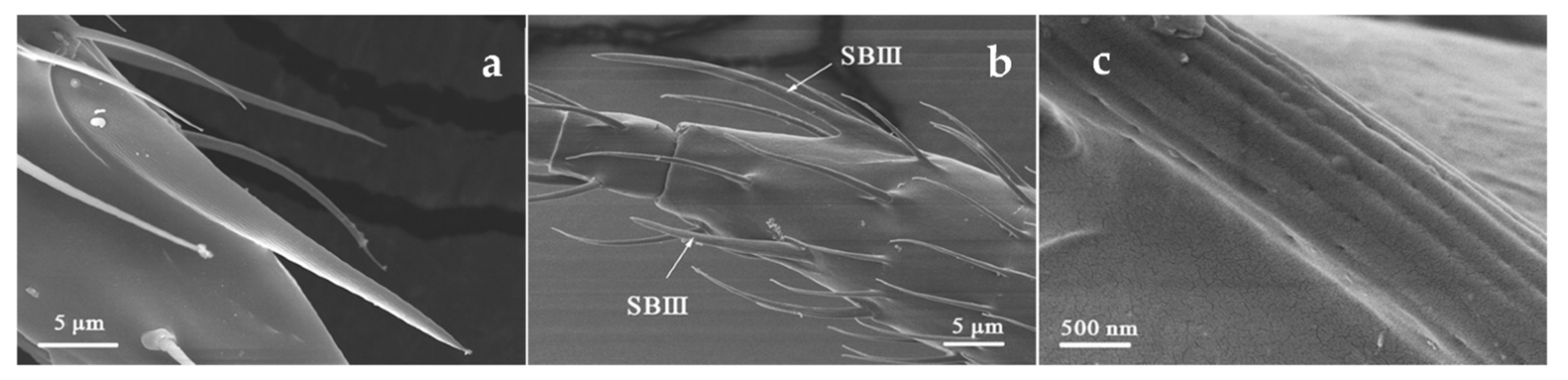 Insects 12 00081 g005 Insects 12 00081 g005