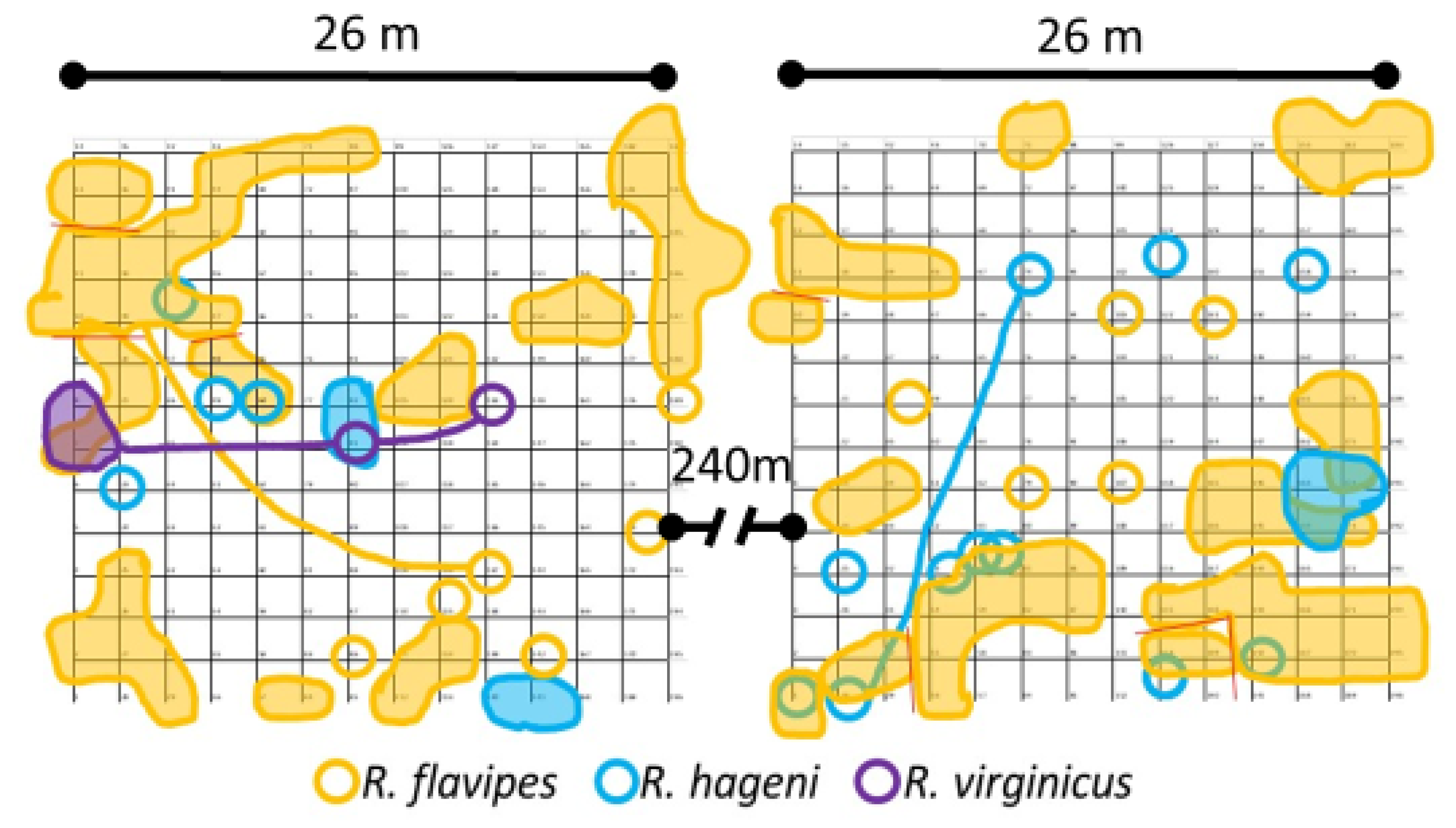 Insects 12 00086 g001 Insects 12 00086 g001