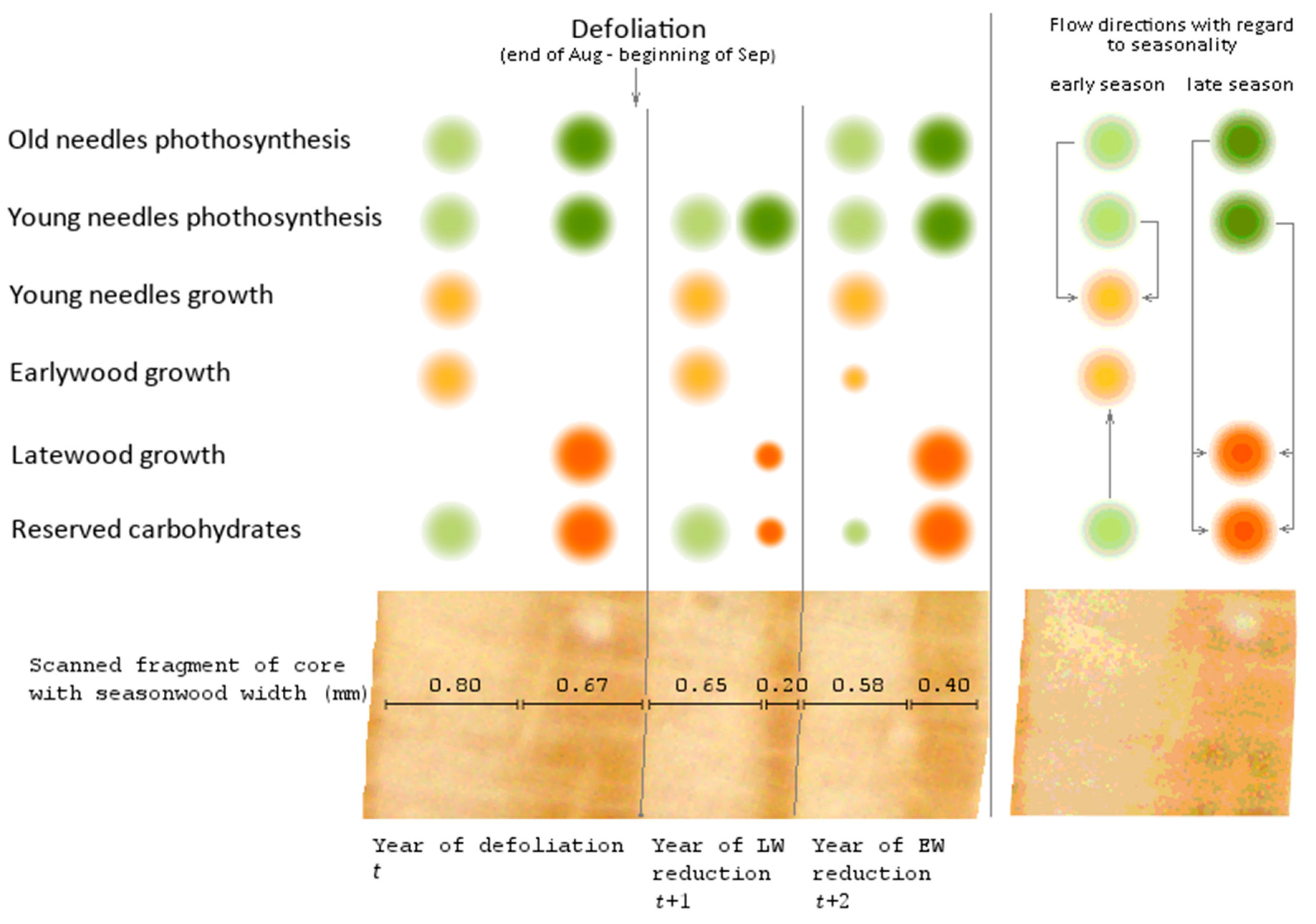 Insects 12 00090 g002