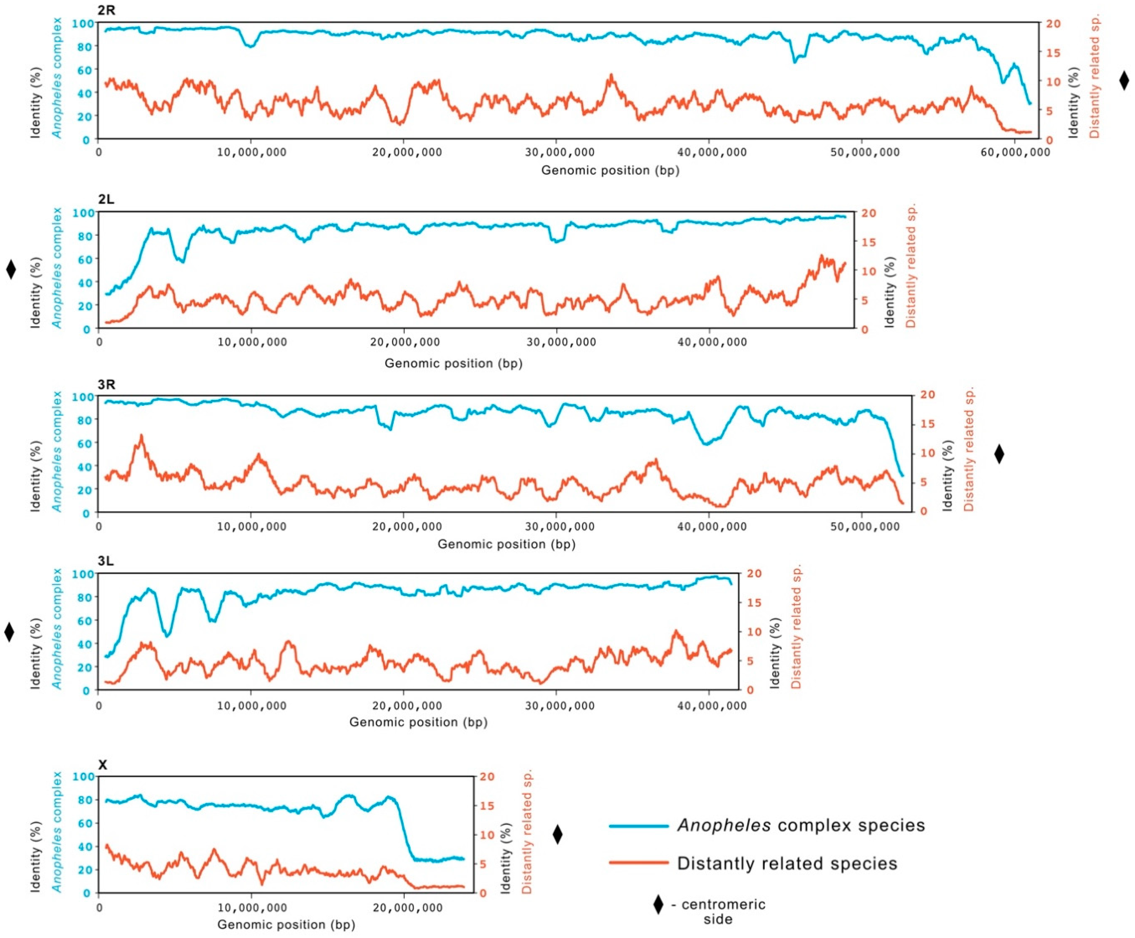 Insects 12 00097 g001