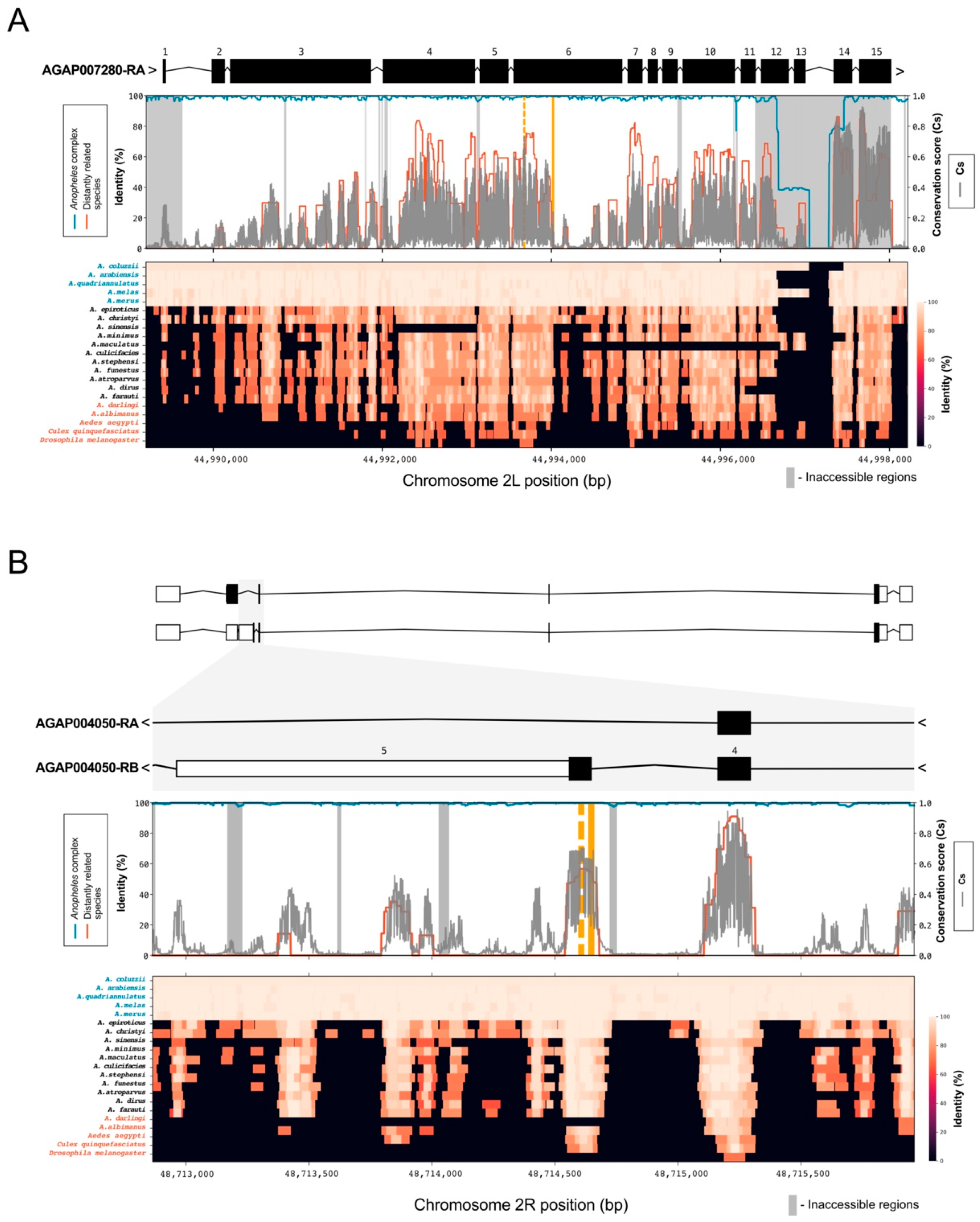 Insects 12 00097 g002