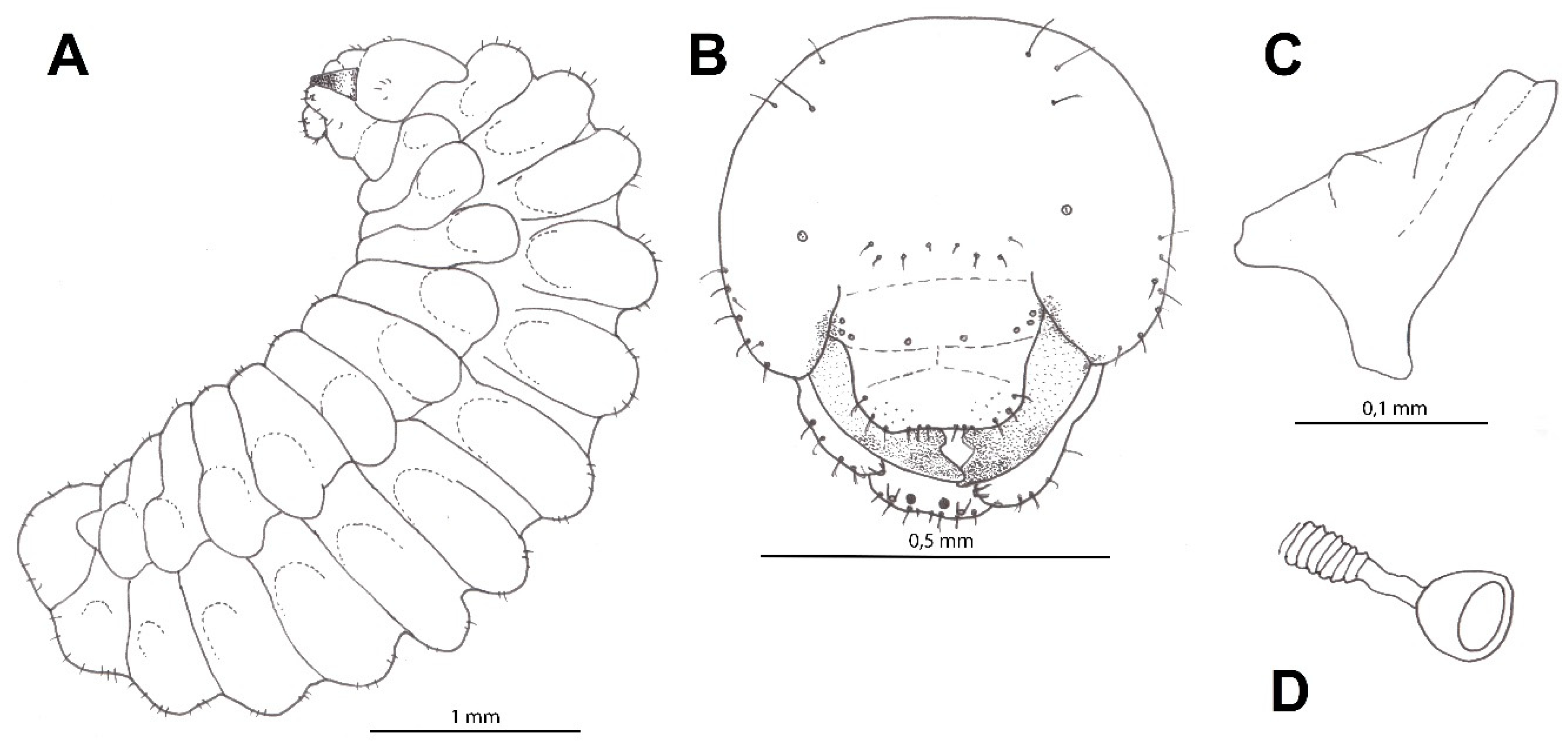 Insects 12 00100 g005