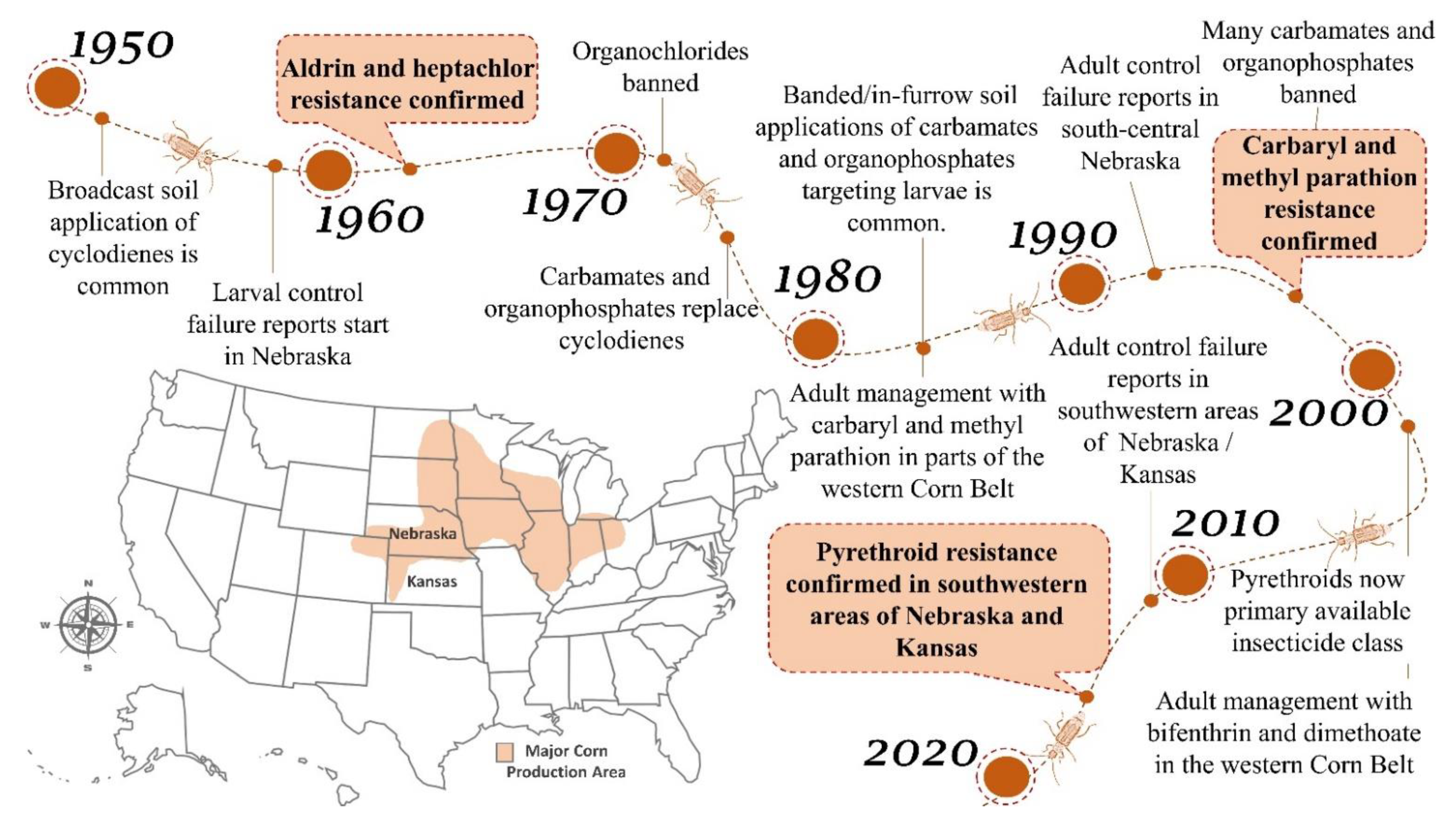 Insects 12 00112 g002