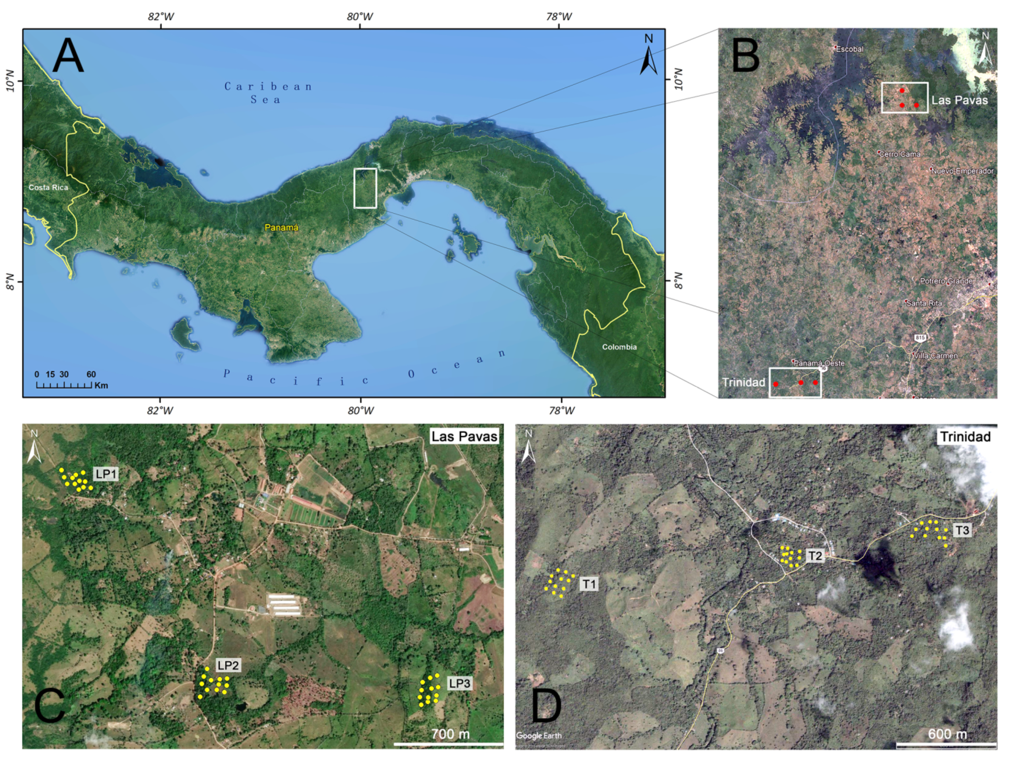 Insects 12 00113 g001 Insects 12 00113 g001