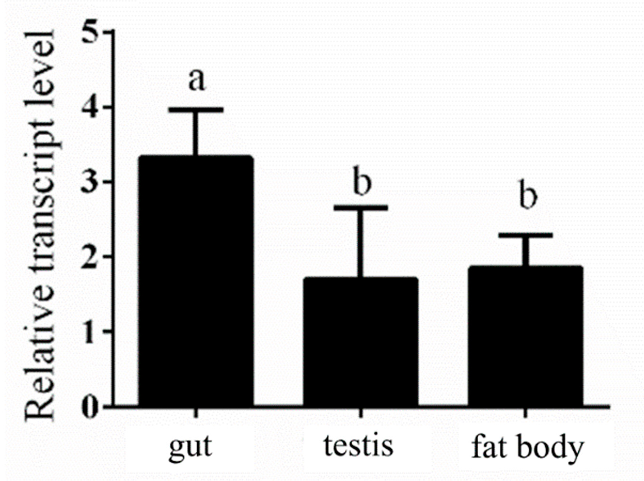Insects 12 00114 g001