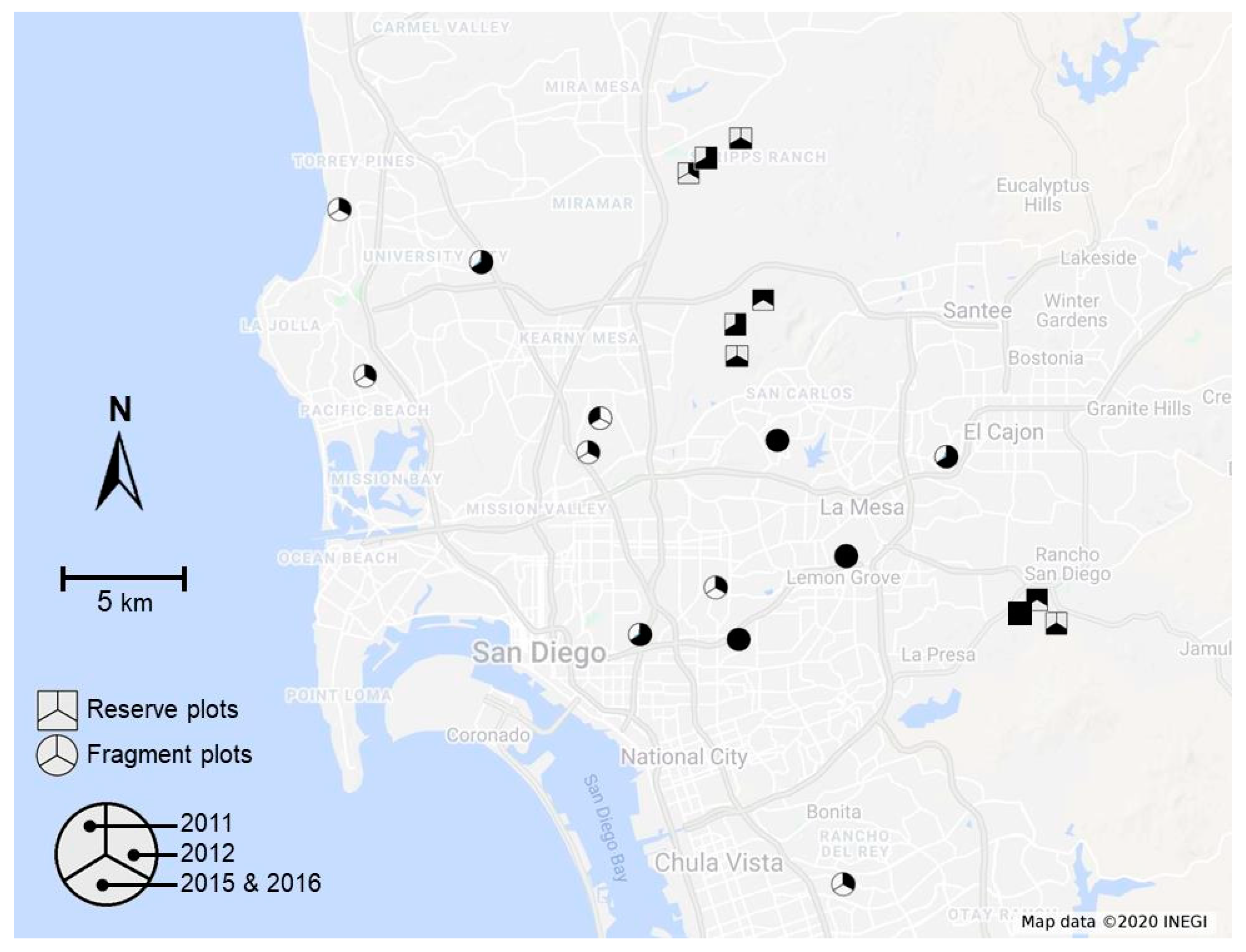 Insects 12 00135 g001