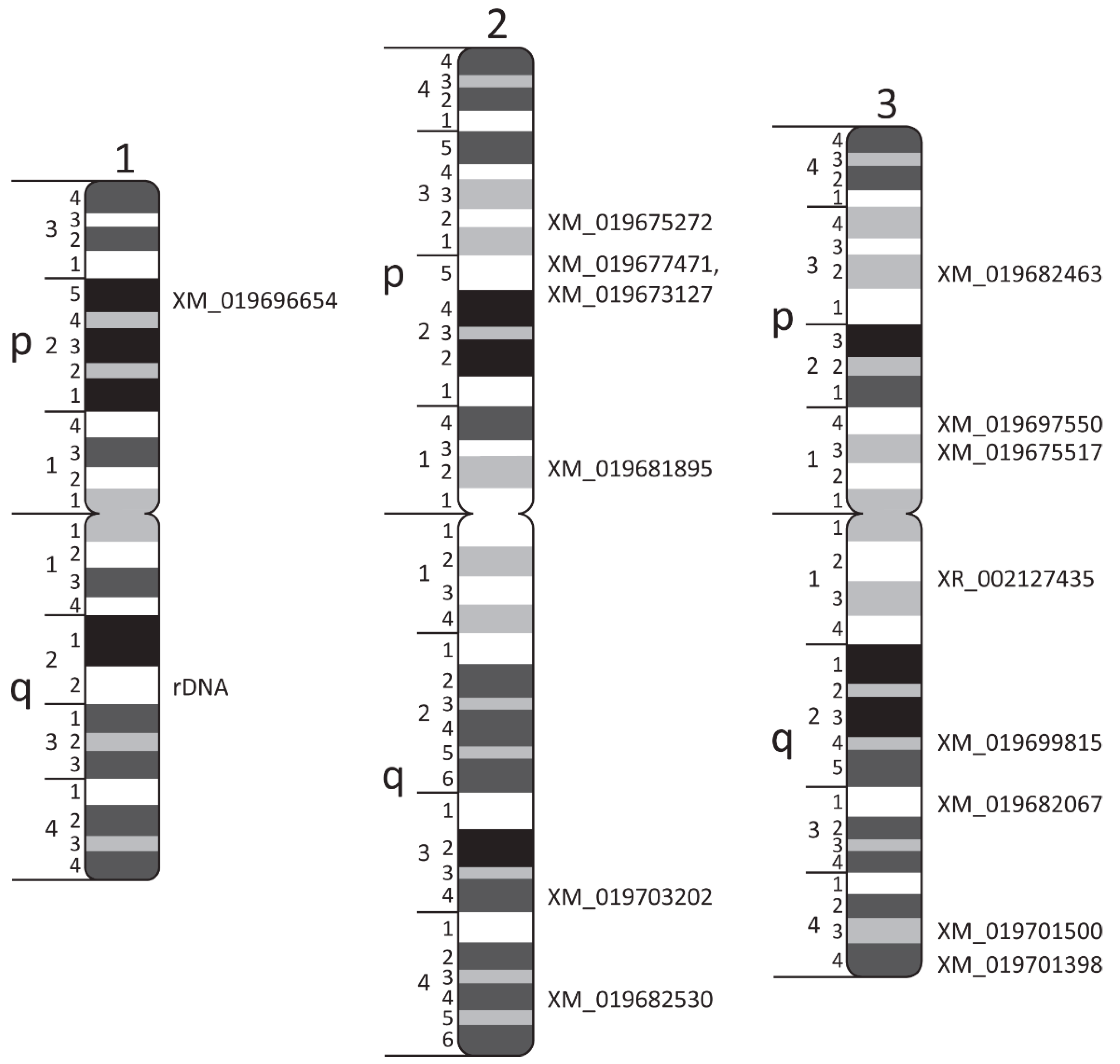 Insects 12 00138 g003