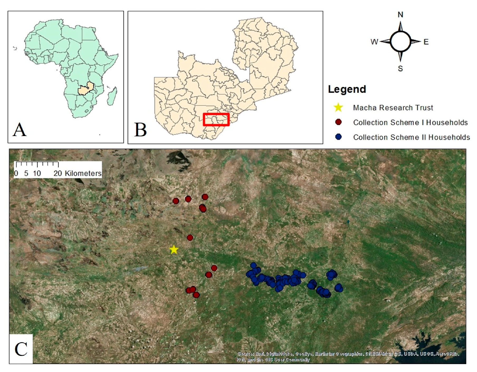 Insects 12 00146 g001