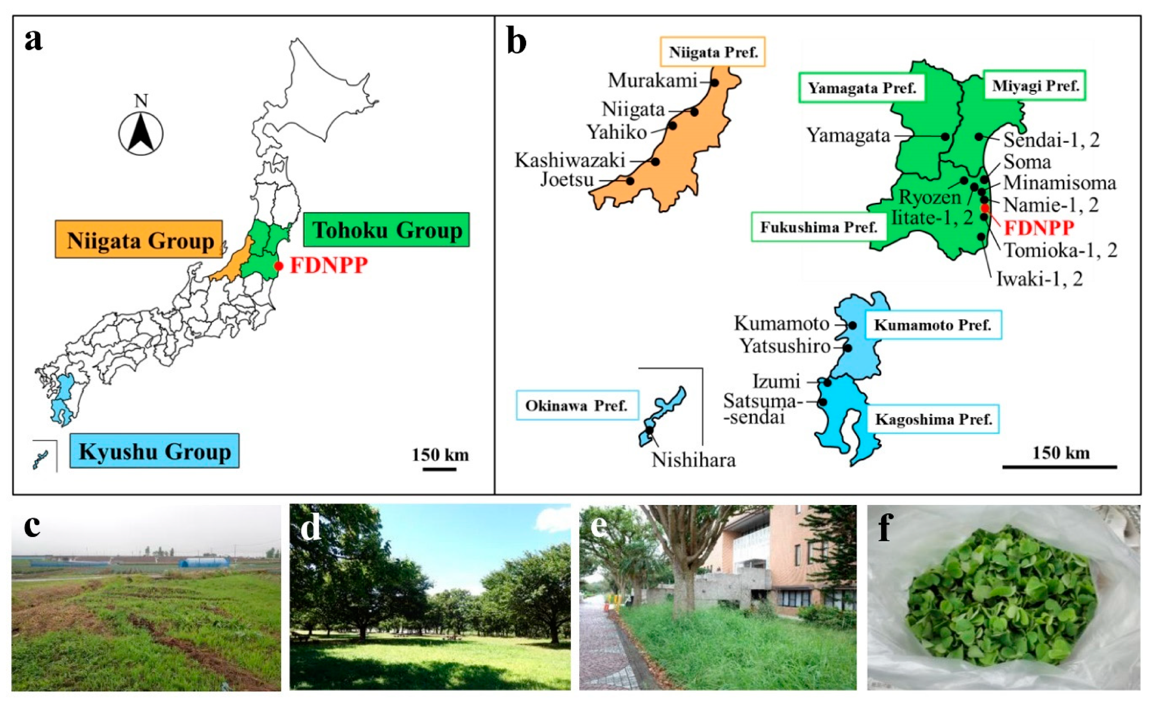 Insects 12 00149 g002