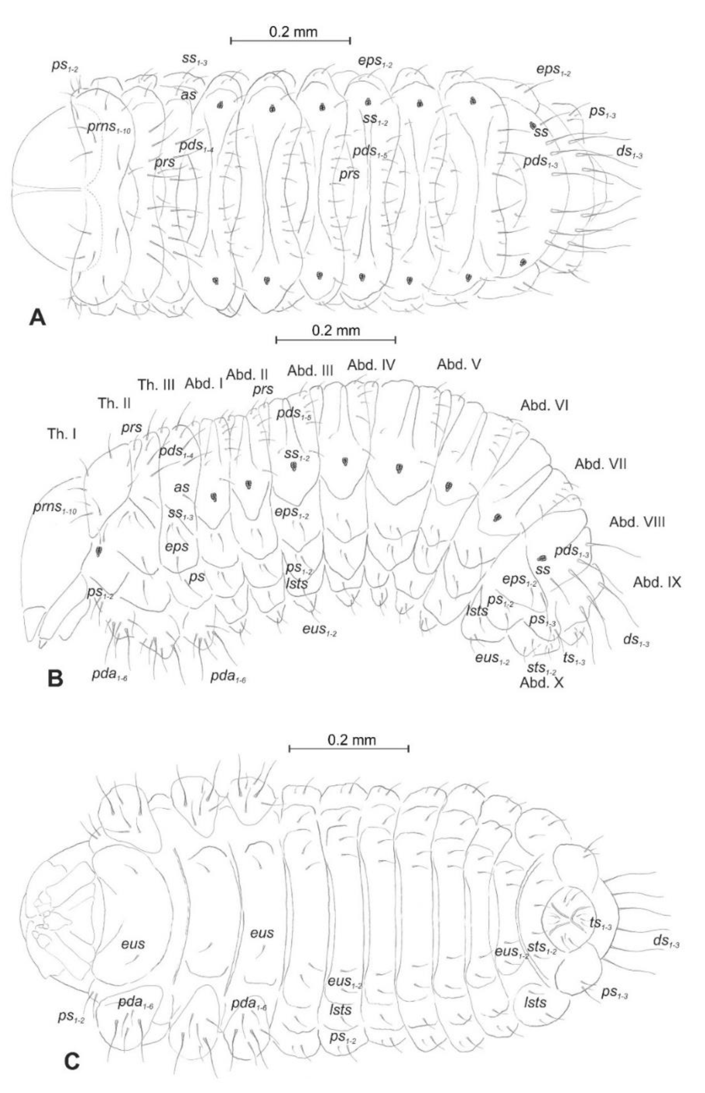 Insects 12 00151 g005