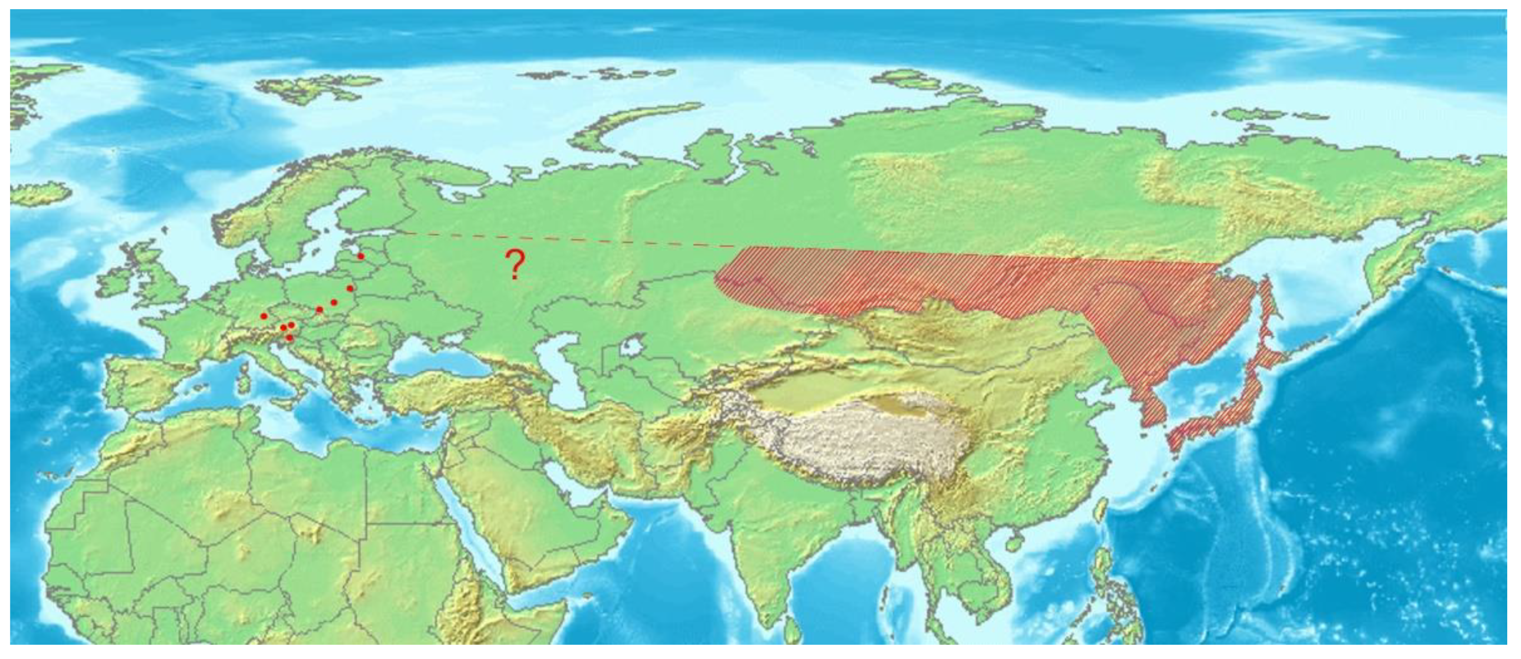 Insects 12 00151 g016