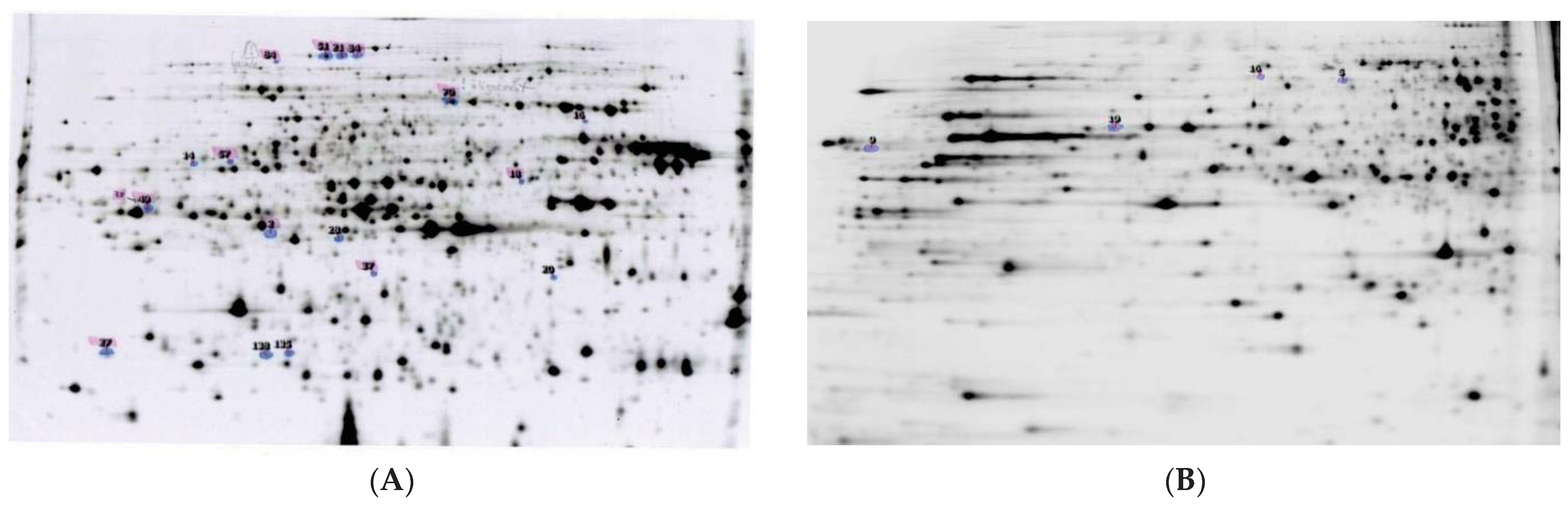 Insects 12 00152 g002