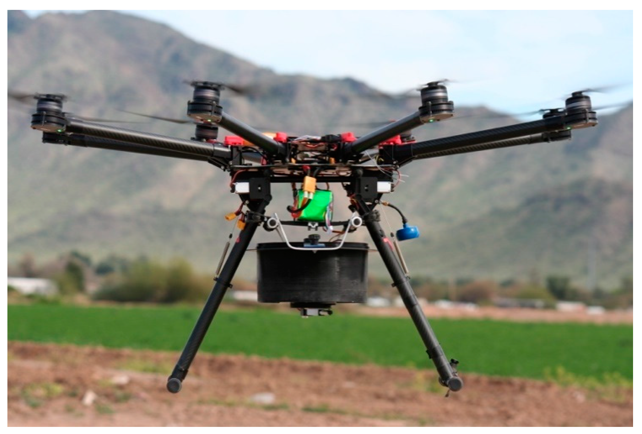 Insects 12 00159 g001