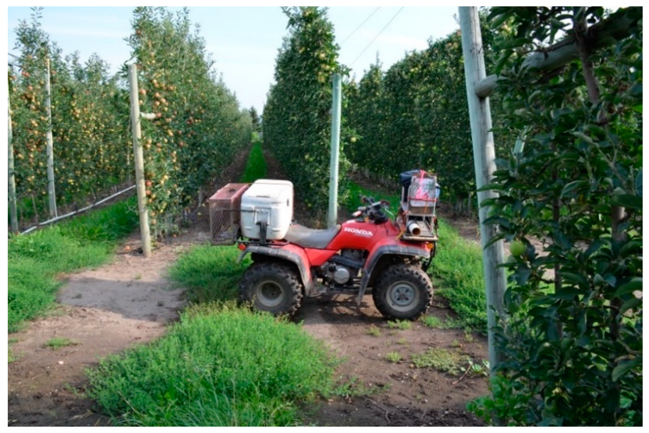 Insects 12 00159 g002