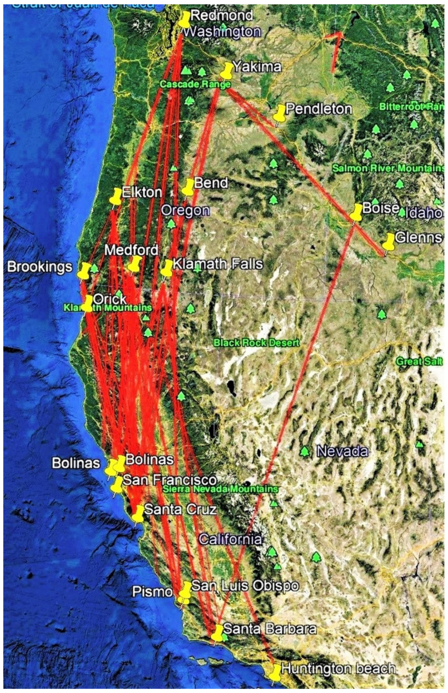 Insects 12 00161 g001