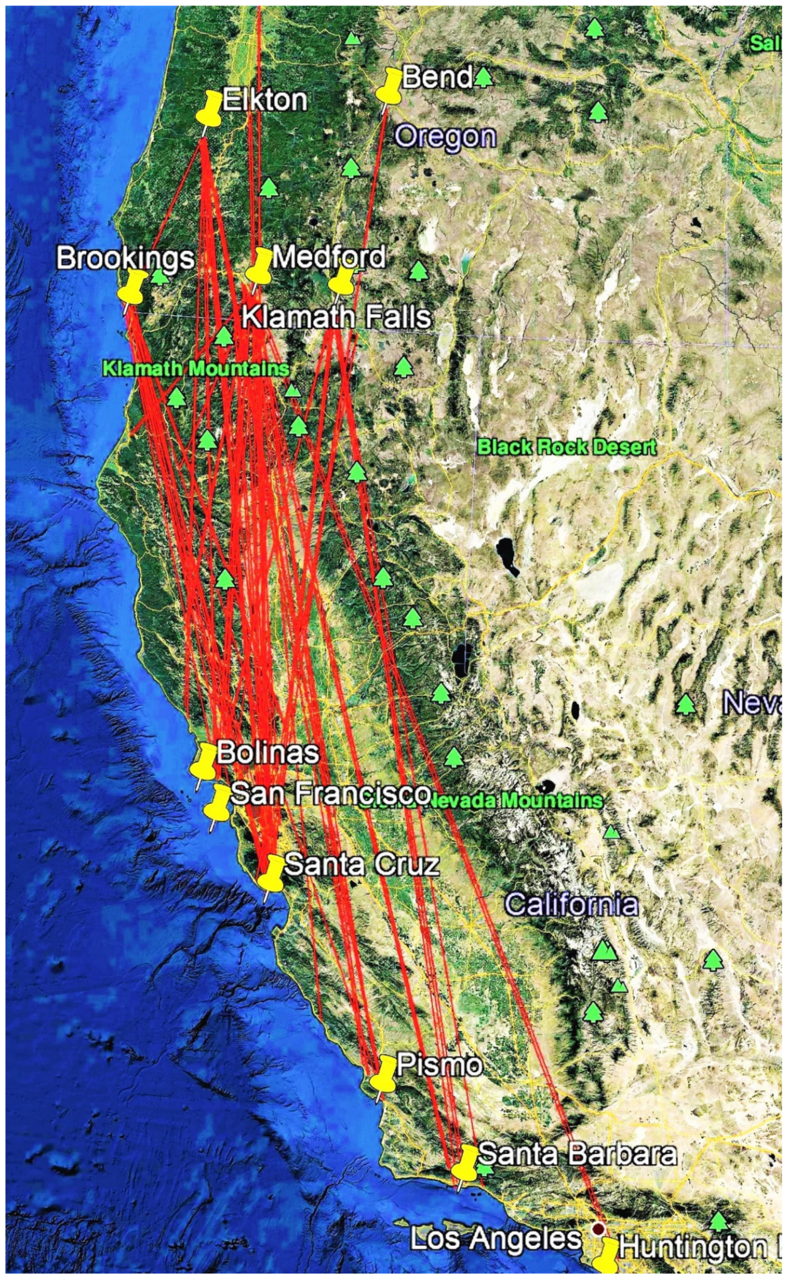 Insects 12 00161 g003