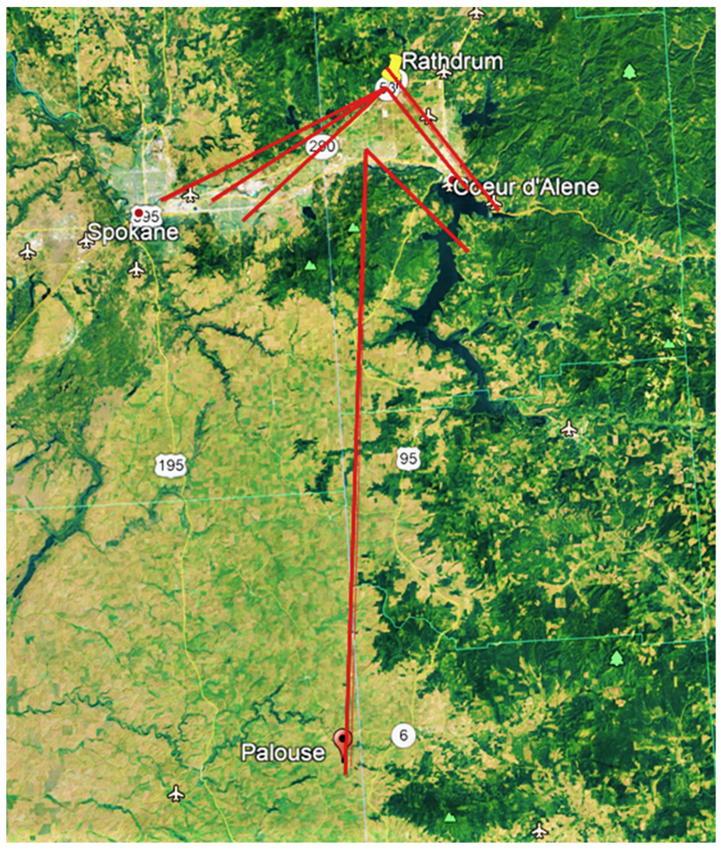 Insects 12 00161 g004